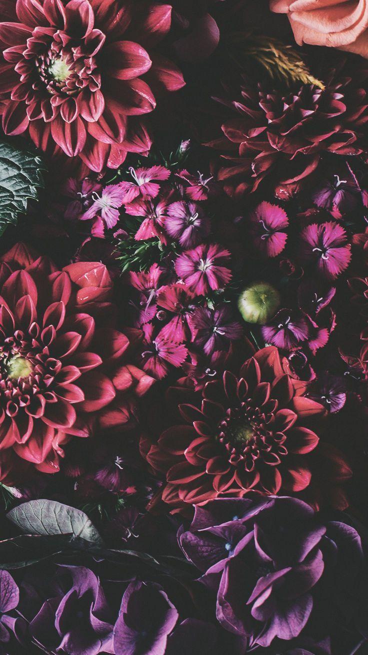 828x1792 iphone 12 mini, iphone 13 mini: Pink Iphone Xr Wallpapers Top Free Pink Iphone Xr Backgrounds Wallpaperaccess