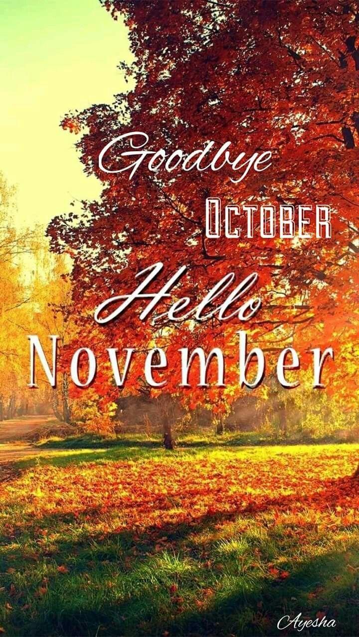 Keep calm and welcome november image. Hello November Wallpapers Top Free Hello November Backgrounds Wallpaperaccess
