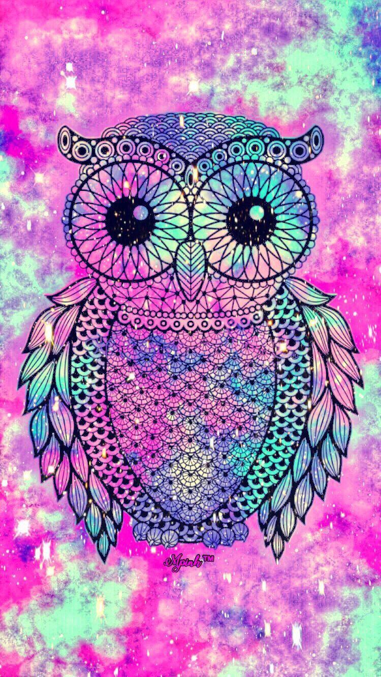There are 63 cute colorful owl wallpapers . Cute Owl Phone Wallpapers Top Free Cute Owl Phone Backgrounds Wallpaperaccess