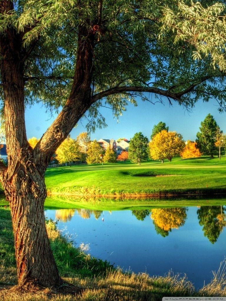 You can also upload and share your favorite scenery android phone wallpapers. Landscape Phone Wallpapers Top Free Landscape Phone Backgrounds Wallpaperaccess