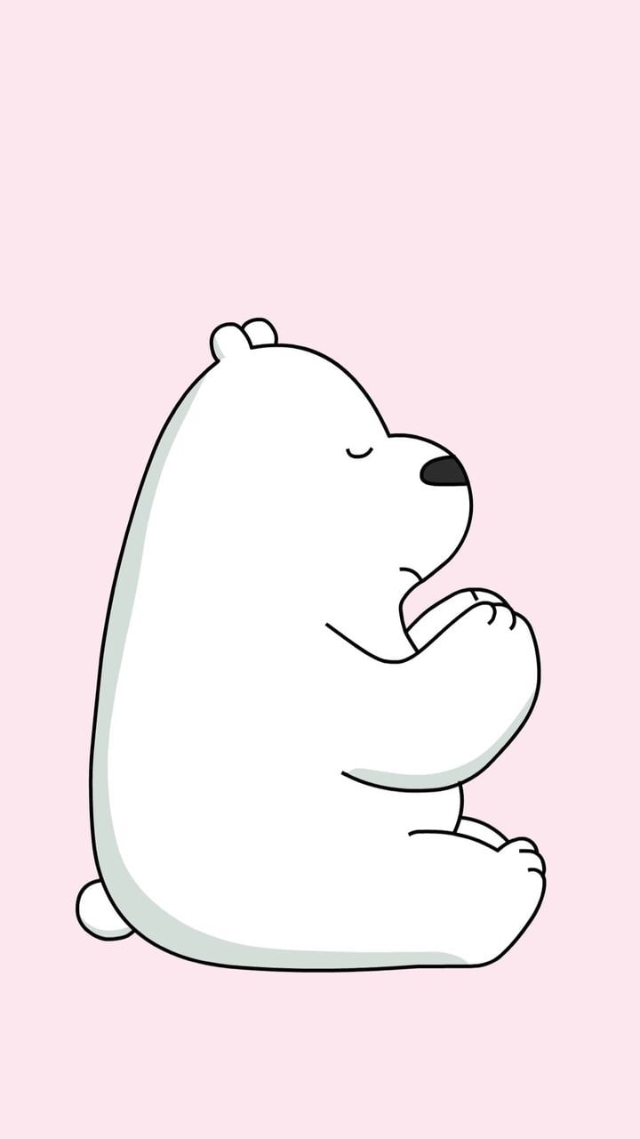 Ice Bear Wallpapers Top Free Ice Bear Backgrounds Wallpaperaccess