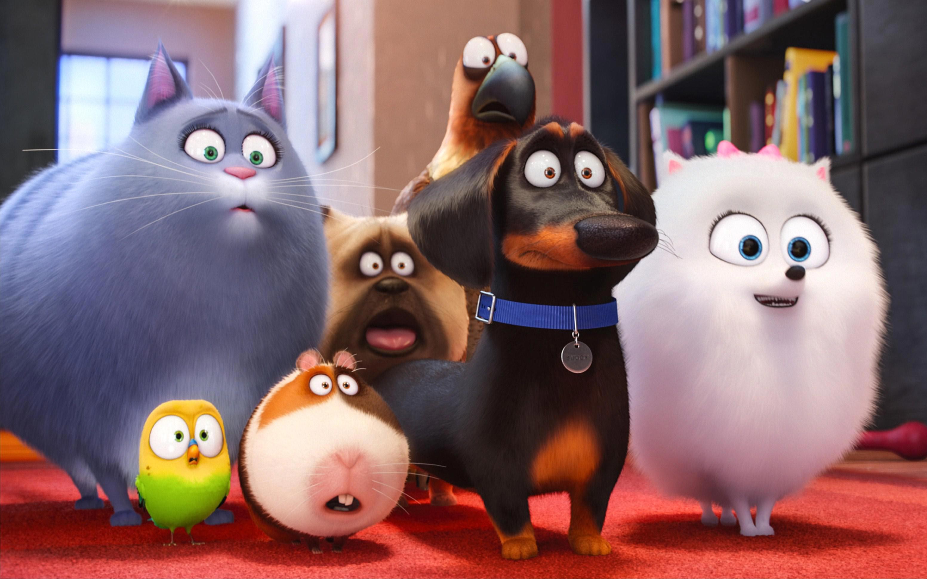 Pets images the secret life of pets hd wallpaper and background photos. Secret Life Of Pets Wallpapers Top Free Secret Life Of Pets Backgrounds Wallpaperaccess