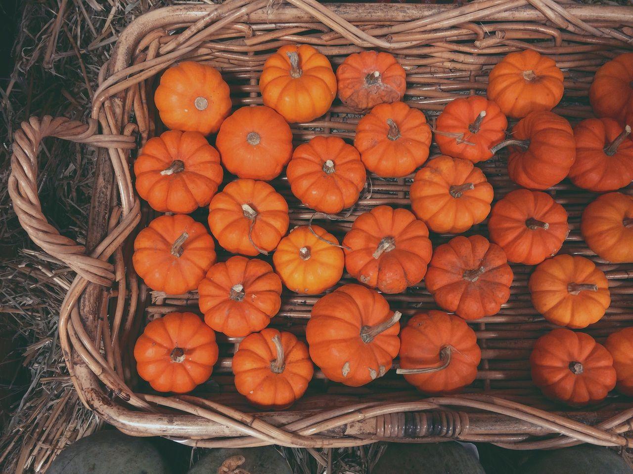 Aesthetic pumpkin wallpapers