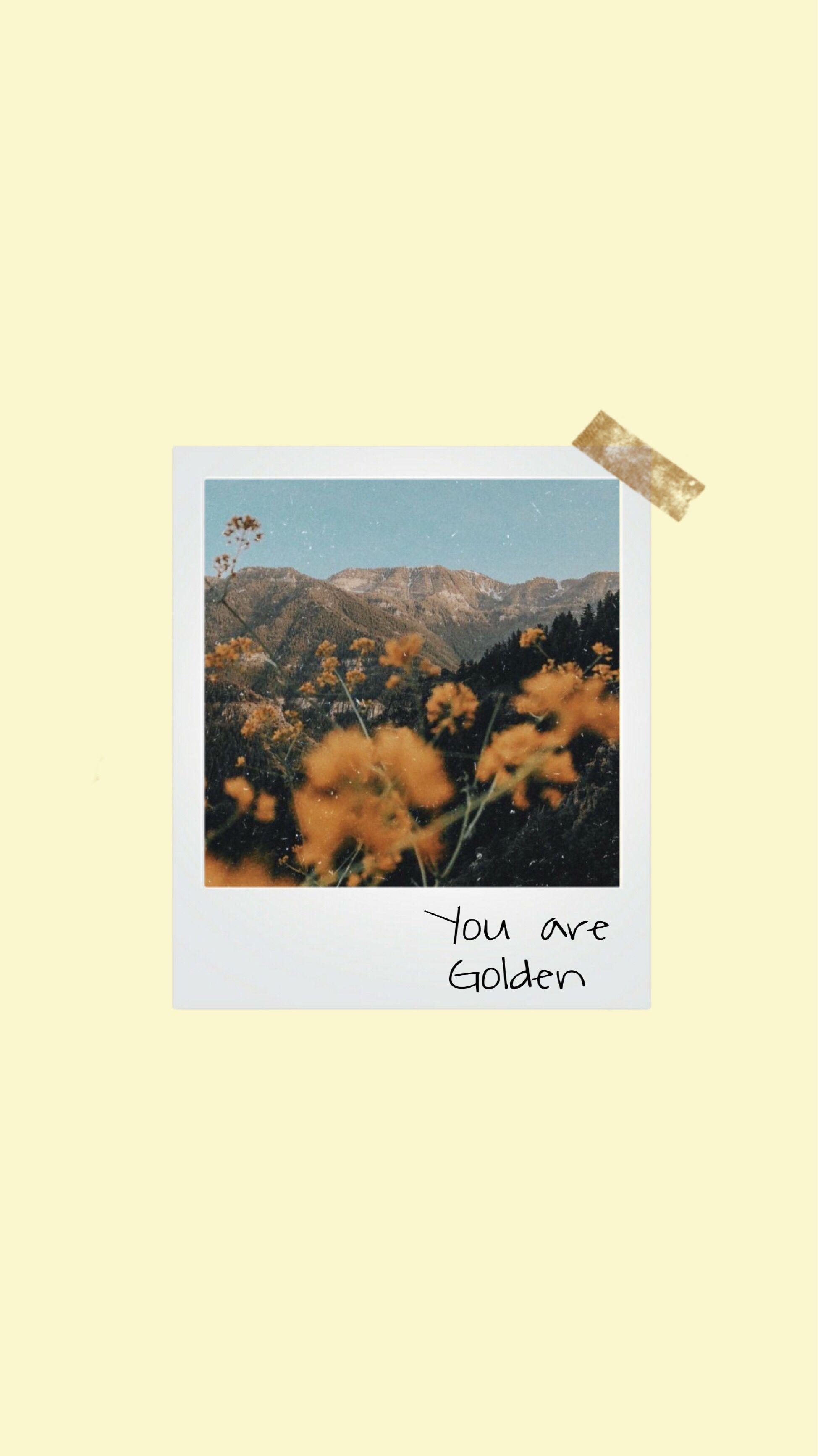 Polaroid iphone wallpapers
