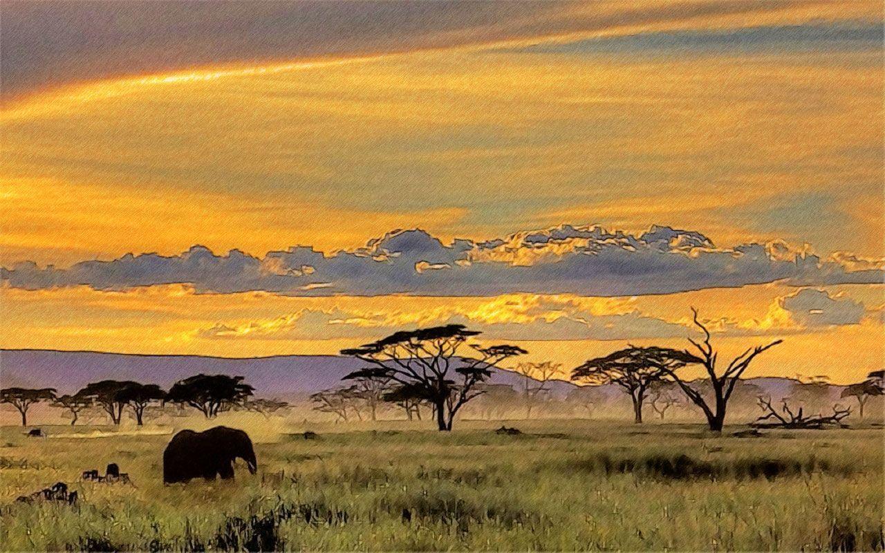 Free for commercial use ✓ no attribution . African Landscape Painting Wallpapers Top Free African Landscape Painting Backgrounds Wallpaperaccess