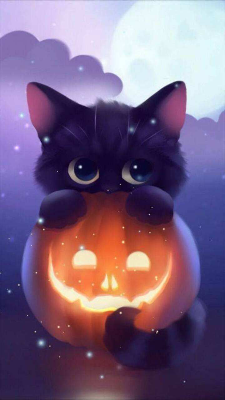 Cute animal halloween wallpapers