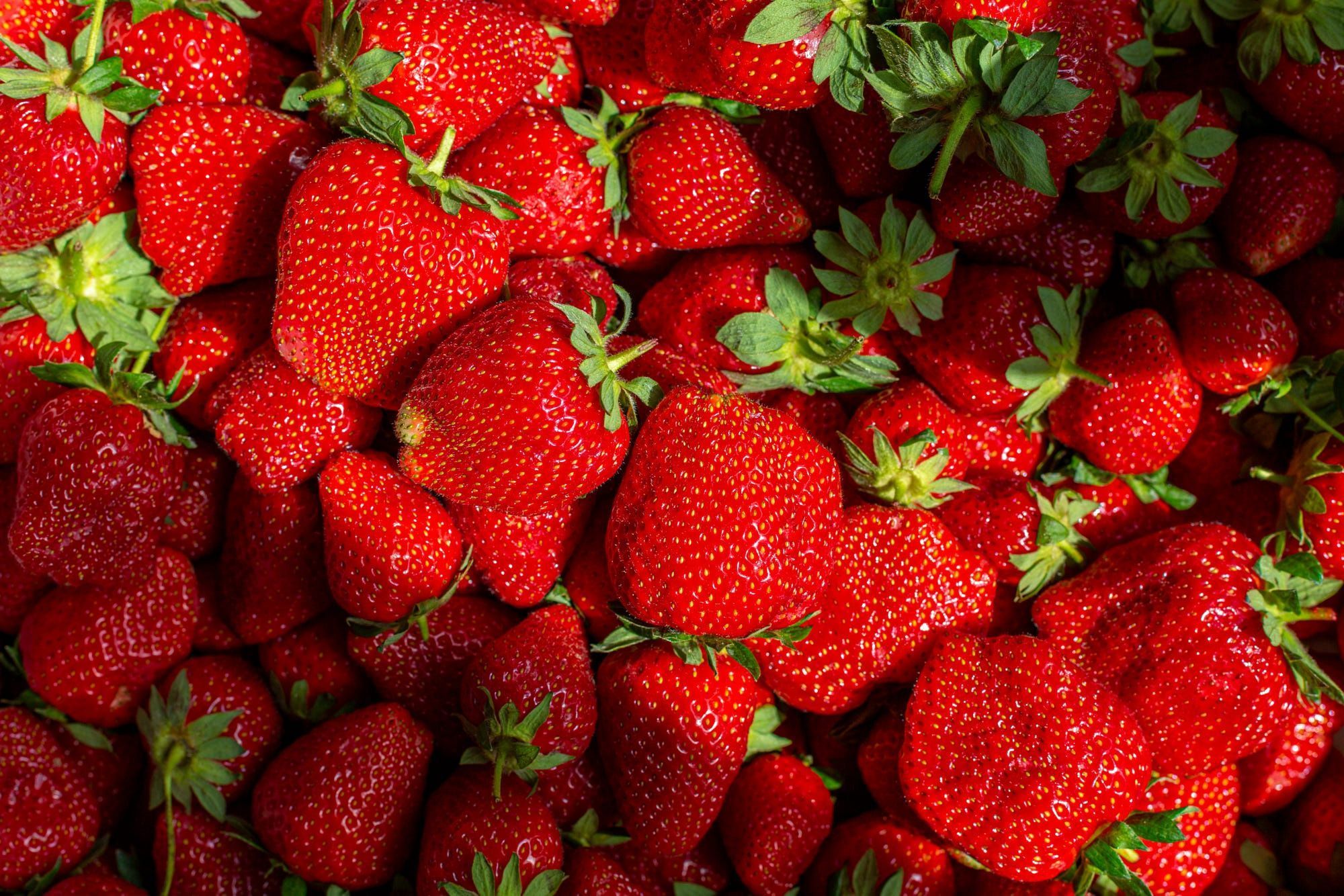 Strawberry Pc Wallpapers Top Free Strawberry Pc Backgrounds