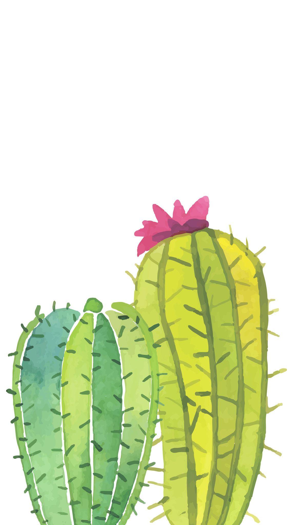 cactus cartoon wallpapers top free cactus cartoon on cactus cartoon wallpapers