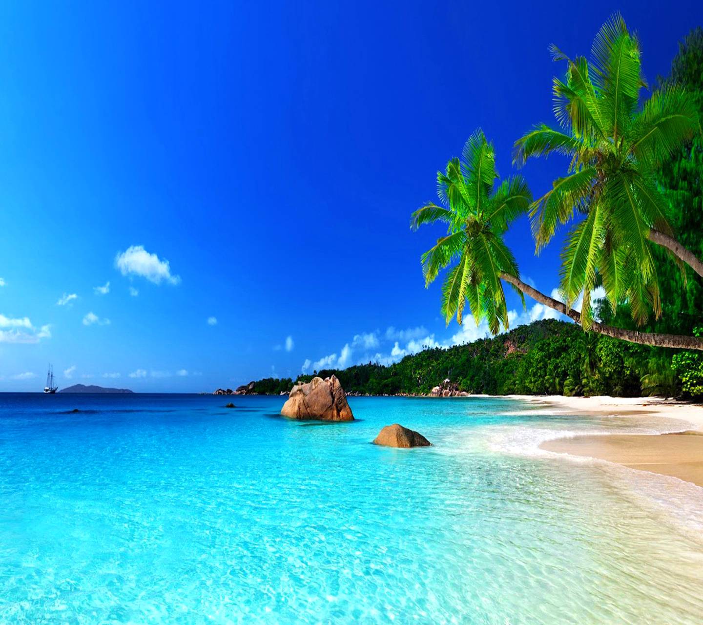 List 103+ pictures best tropical paradise photos superb