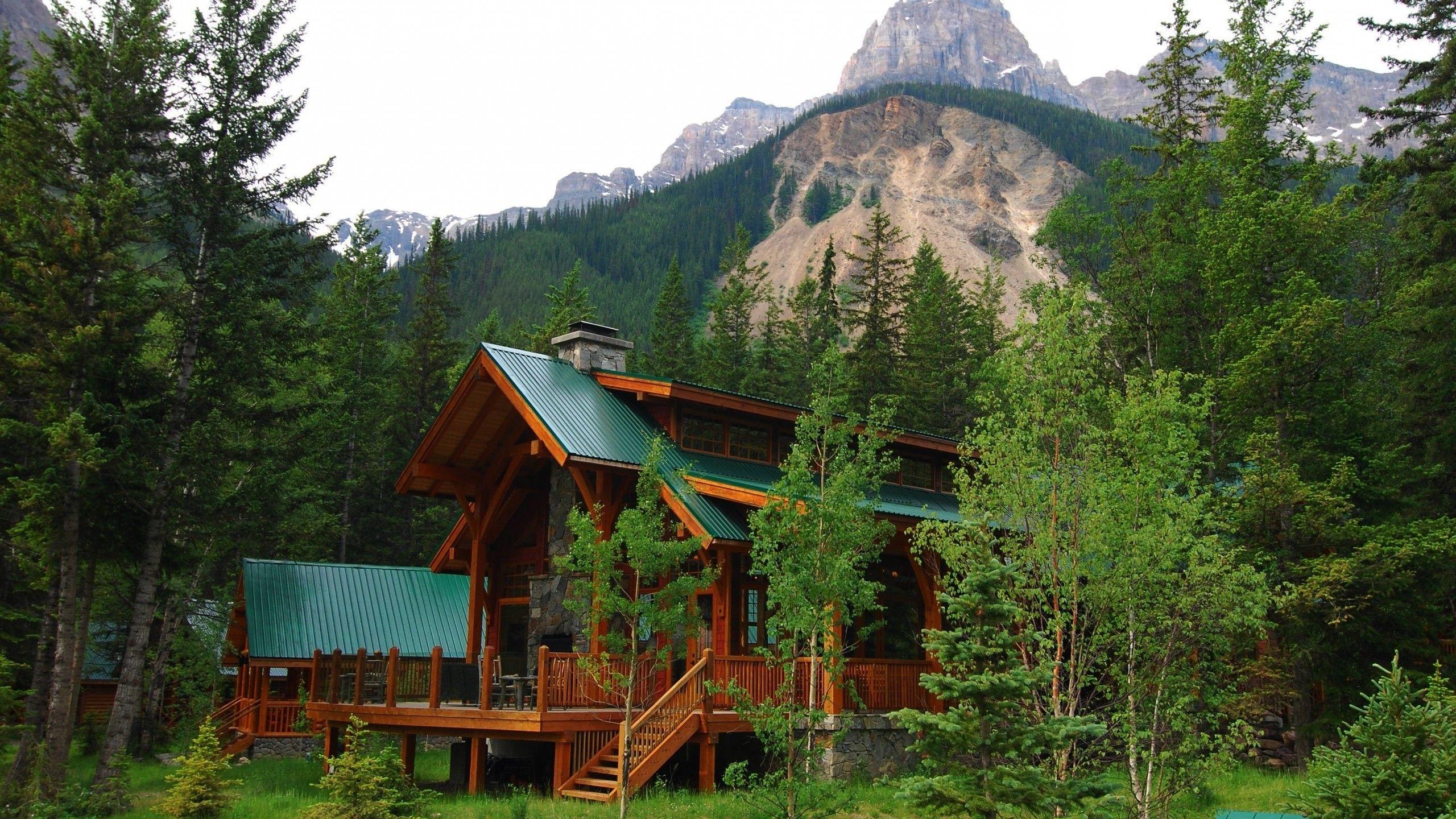 Download brynhildr in the darkness iphone 4 wallpaper for your smartphone. Cozy Forest Wallpapers - Top Free Cozy Forest Backgrounds