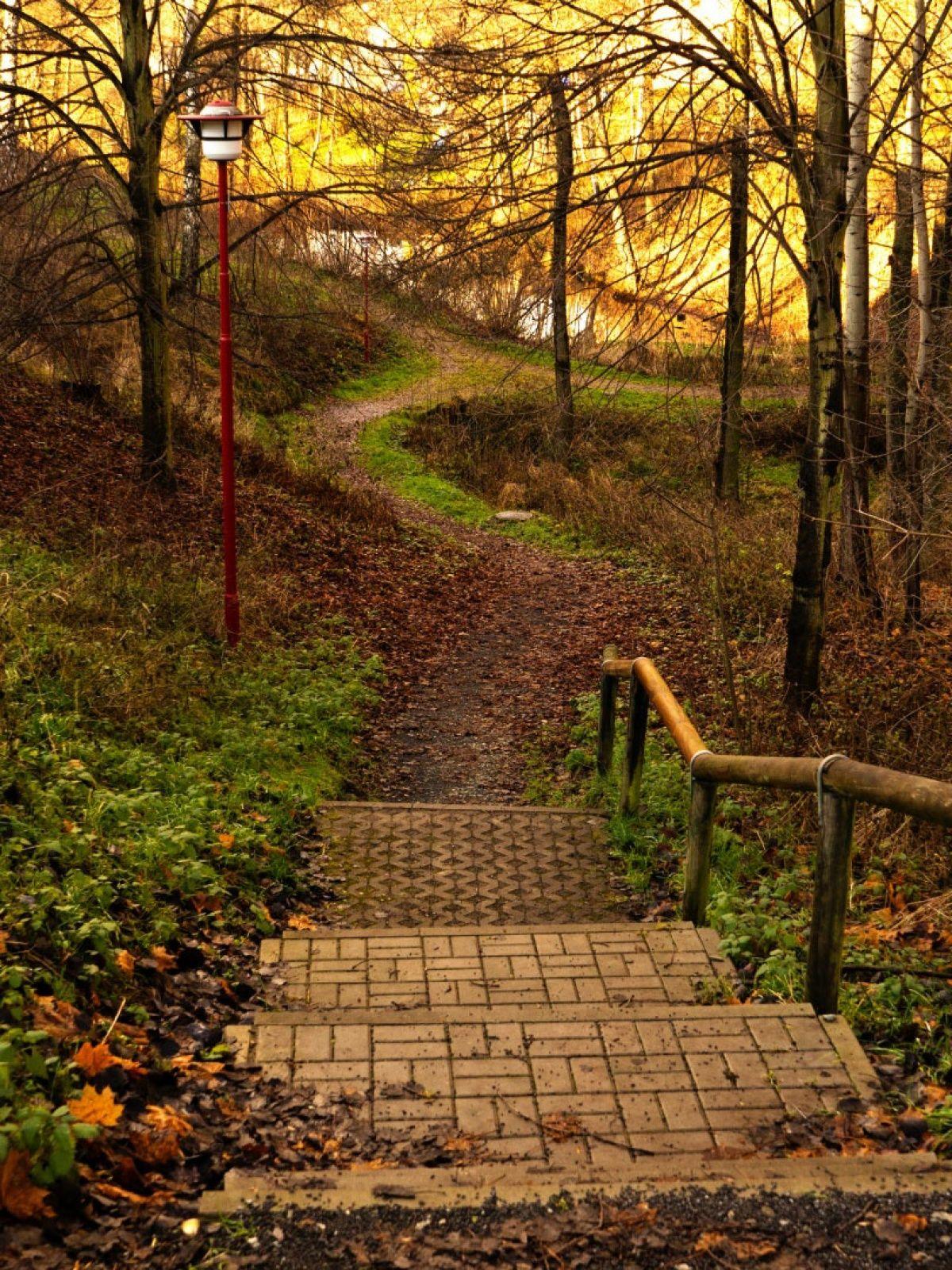 Hd Nature Phone Wallpapers Top Free Hd Nature Phone Backgrounds Wallpaperaccess