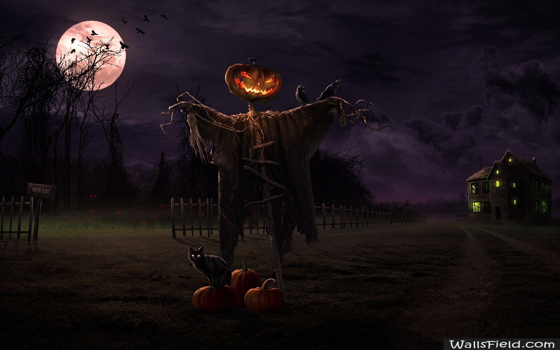 1920x1080 scary halloween hd wallpaper>. Halloween Horror Wallpapers Top Free Halloween Horror Backgrounds Wallpaperaccess