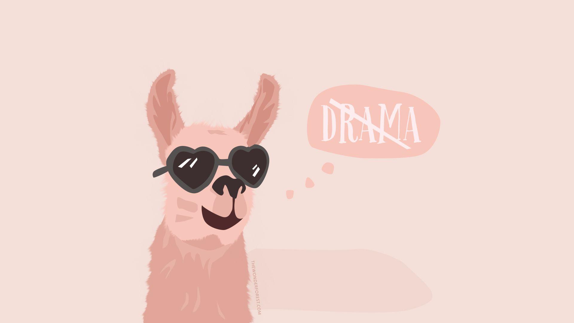 kawaii llama wallpapers top free kawaii llama on kawaii llama wallpapers