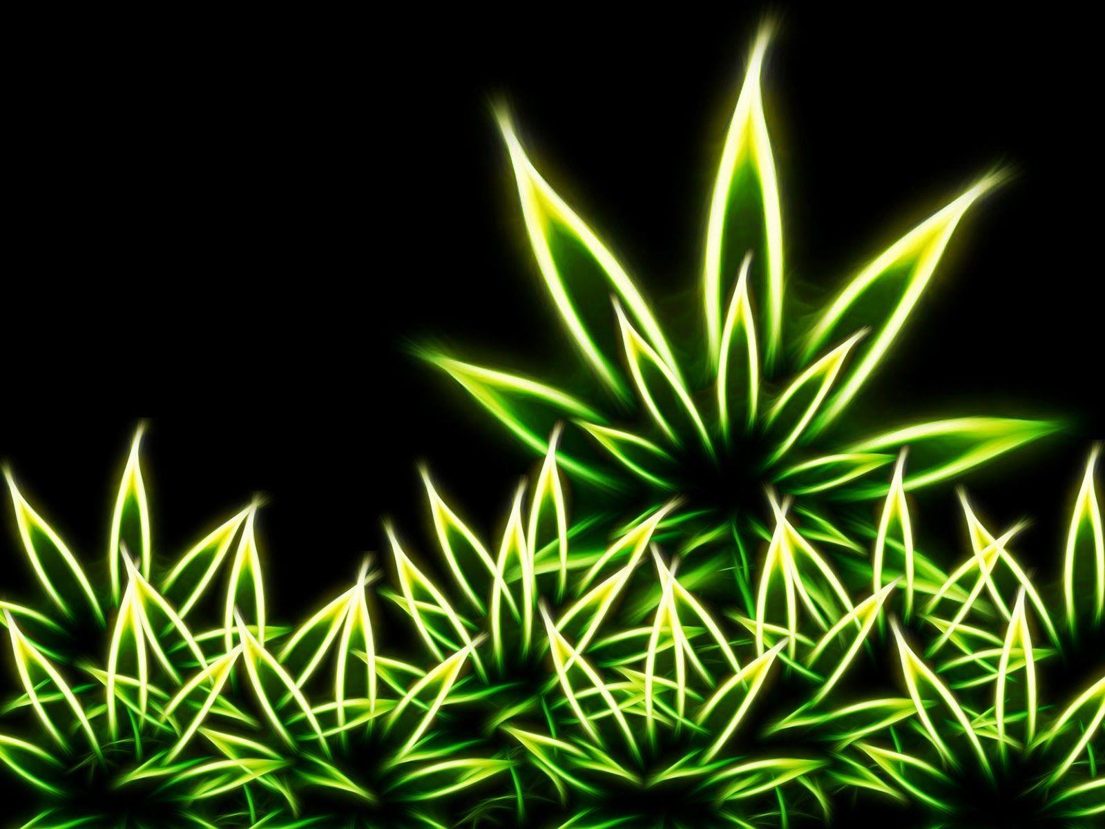 Scarica Gratis immagini Dope Weed Wallpapers Top Free Dope Weed Backgrounds il piu cool da parte di