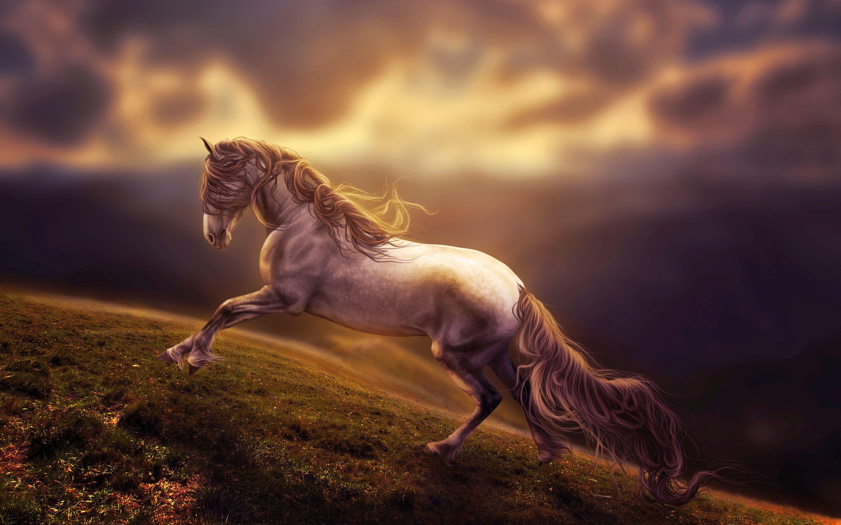 Horse Art Wallpaper Hd : Horse Painting Wallpapers Top Free Horse Painting Backgrounds Wallpaperaccess