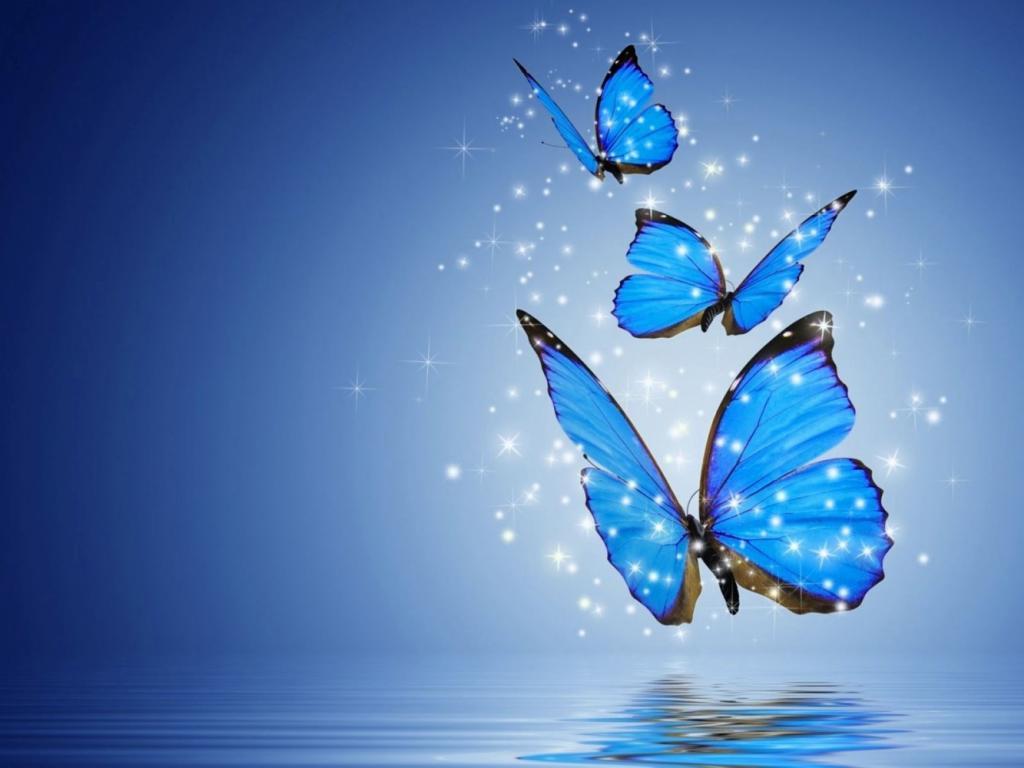 Liquid neon butterfly wallpapers and background images for all your devices. New Butterfly Wallpapers Top Free New Butterfly Backgrounds Wallpaperaccess