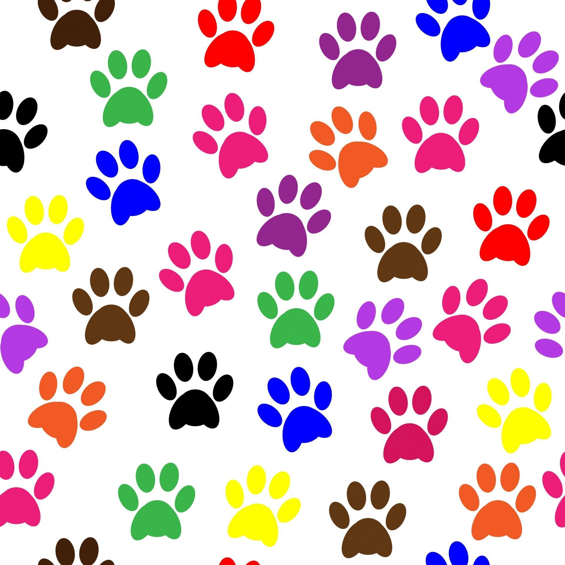 Paw print wallpapers
