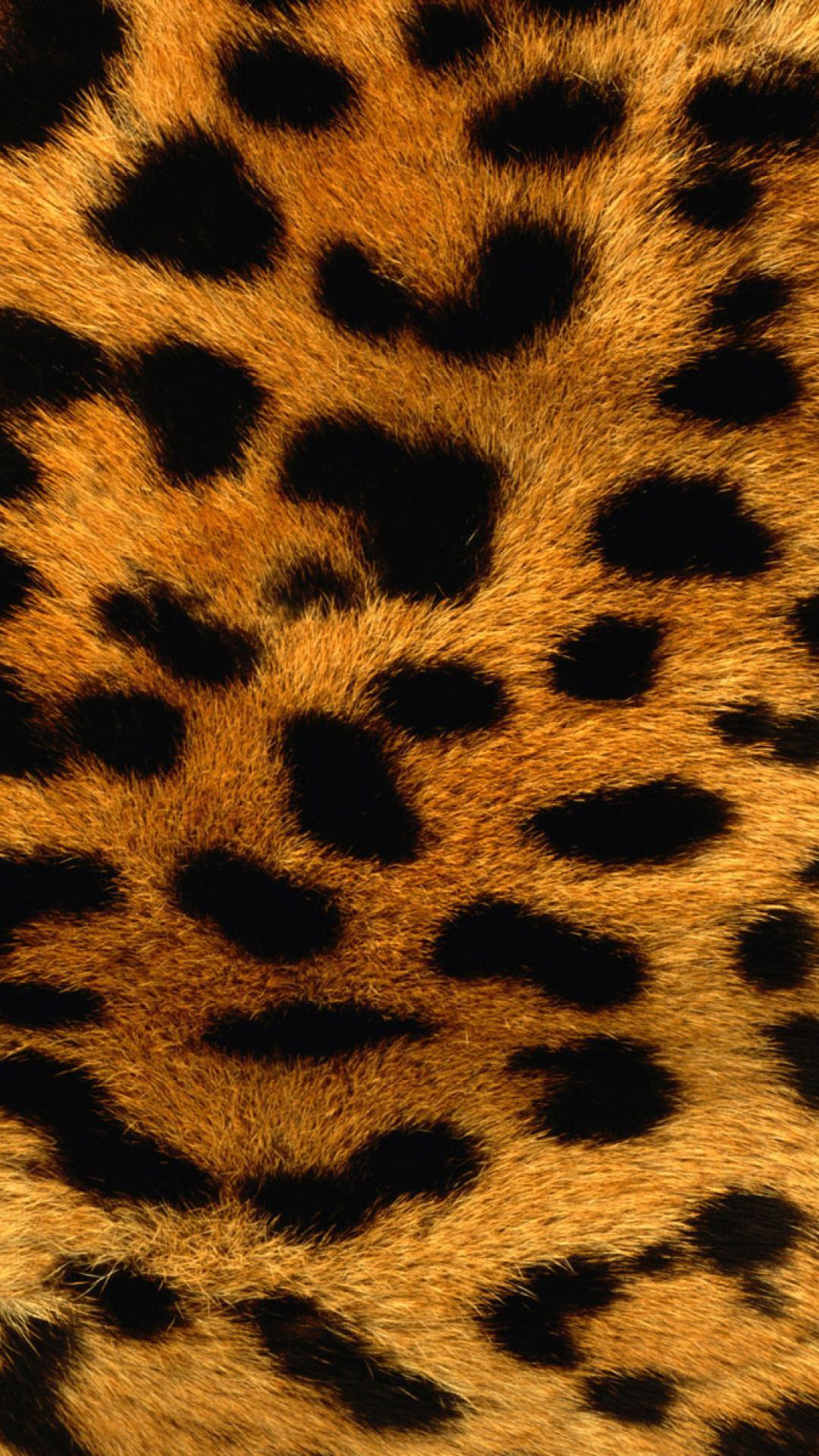 Download @@softwarename@@ and enjoy it on your iphone, ipad, . Animal Print Iphone Wallpapers Top Free Animal Print Iphone Backgrounds Wallpaperaccess