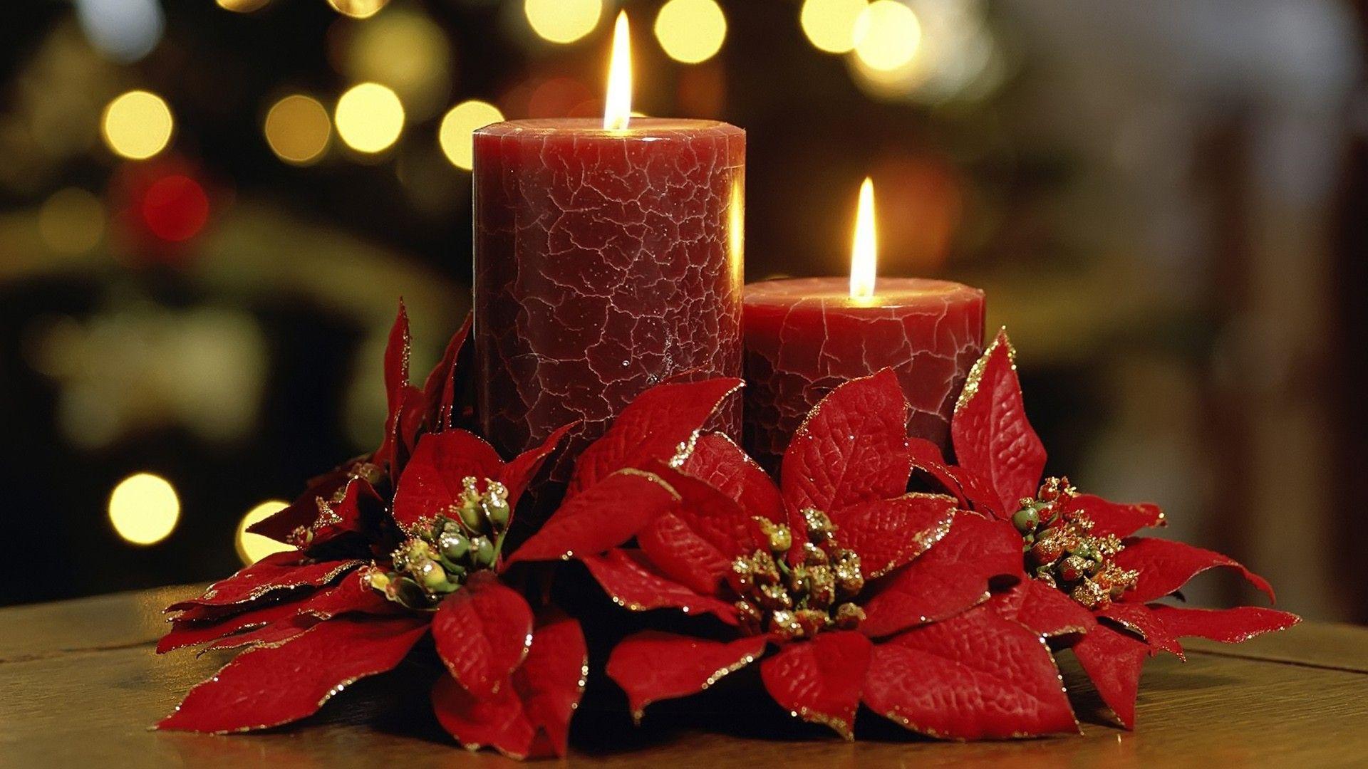 Christmas flowers wallpapers