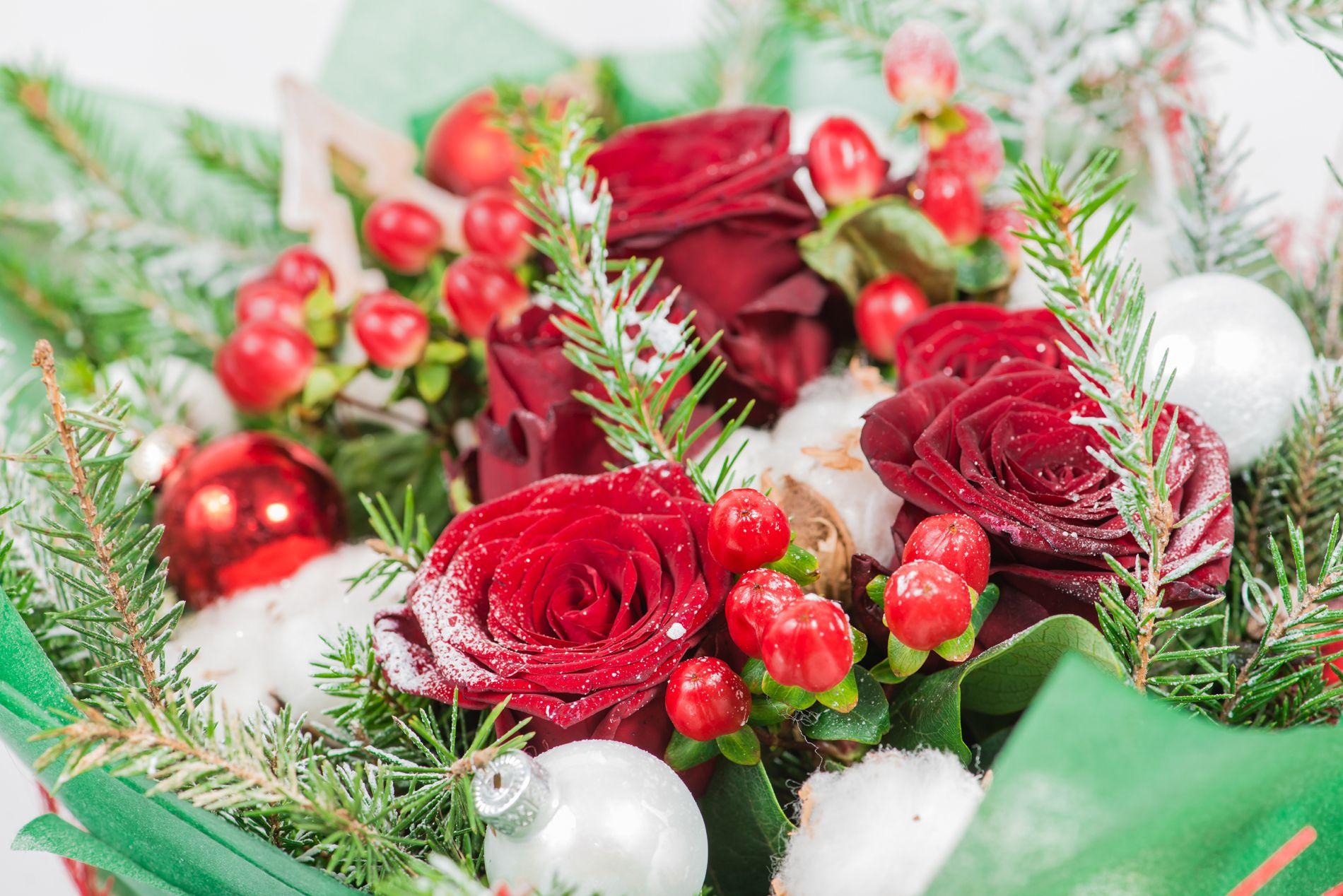 Christmas flowers wallpapers