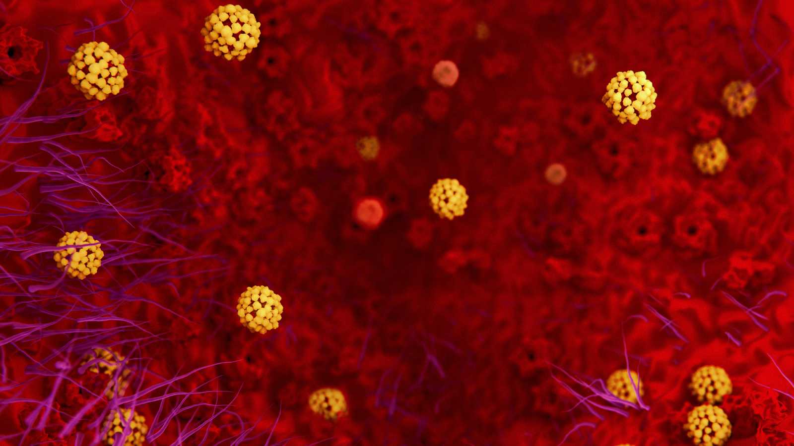 Scarica Gratis immagini Coronavirus Wallpapers Top Free Coronavirus Backgrounds aggiornato saluti