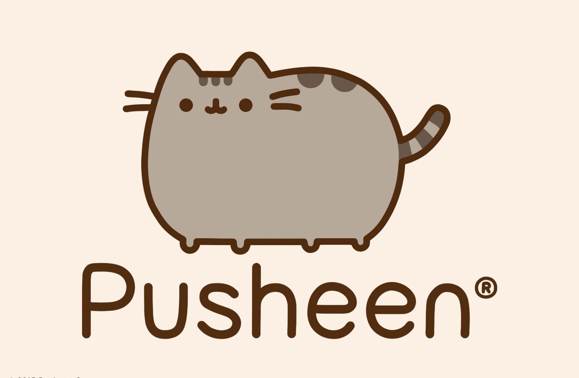 Pusheen Hd Wallpapers Top Free Pusheen Hd Backgrounds Wallpaperaccess
