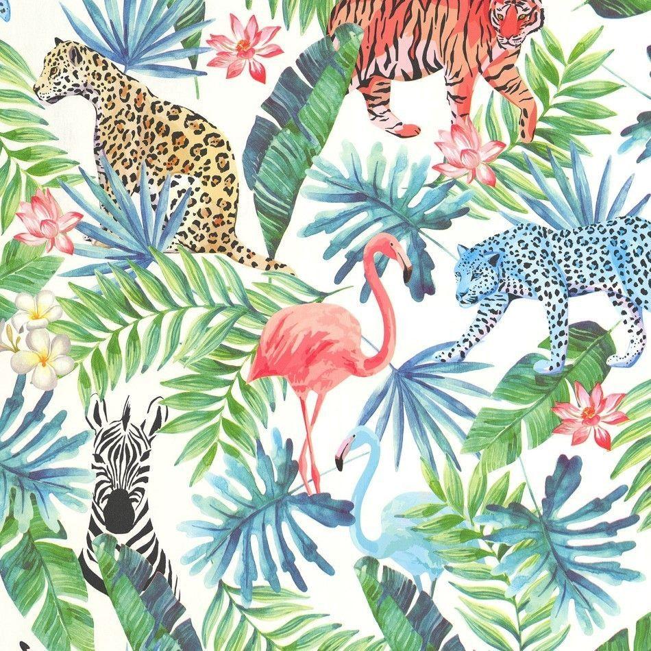 Tropical animal wallpapers