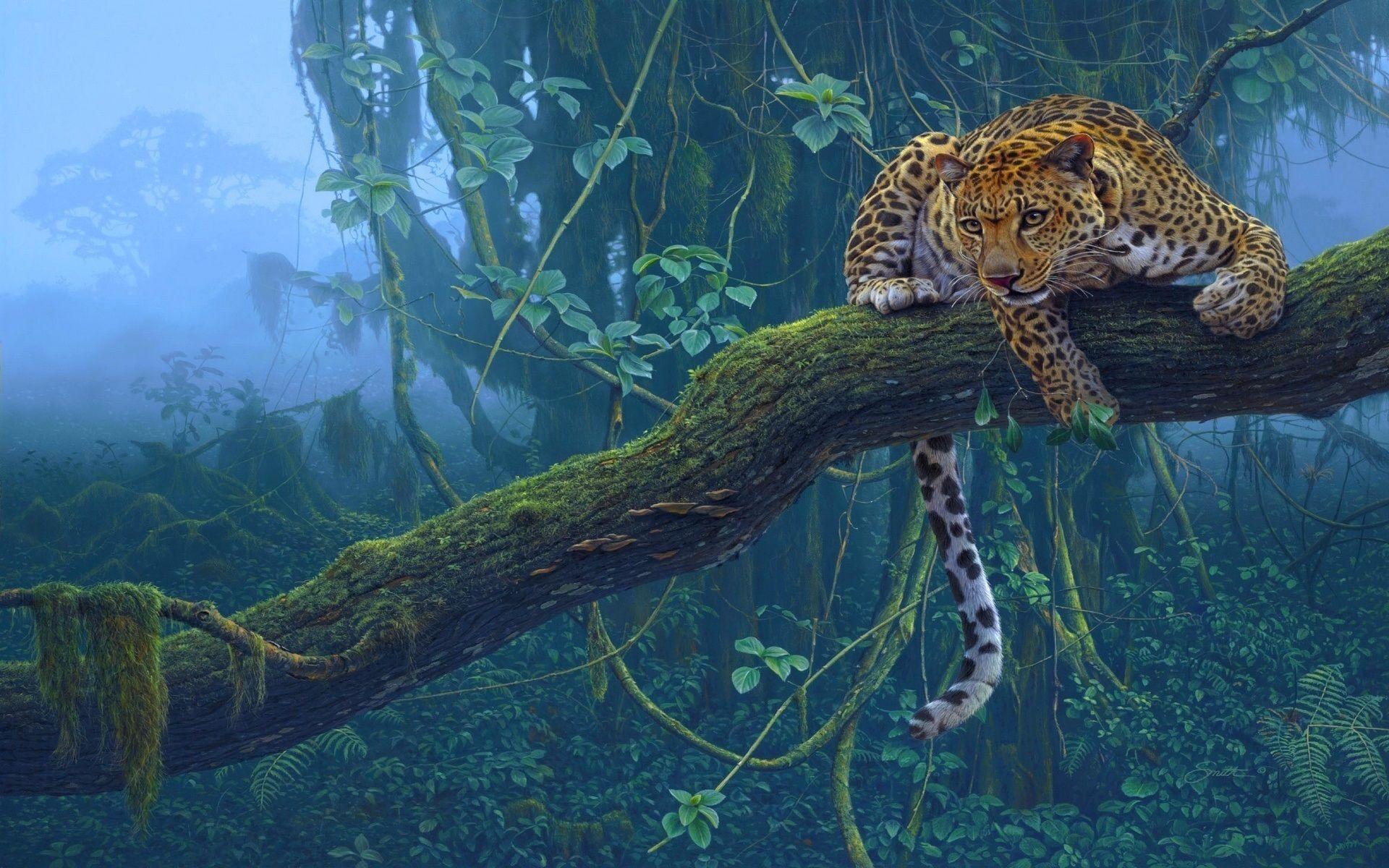 Tropical animal wallpapers