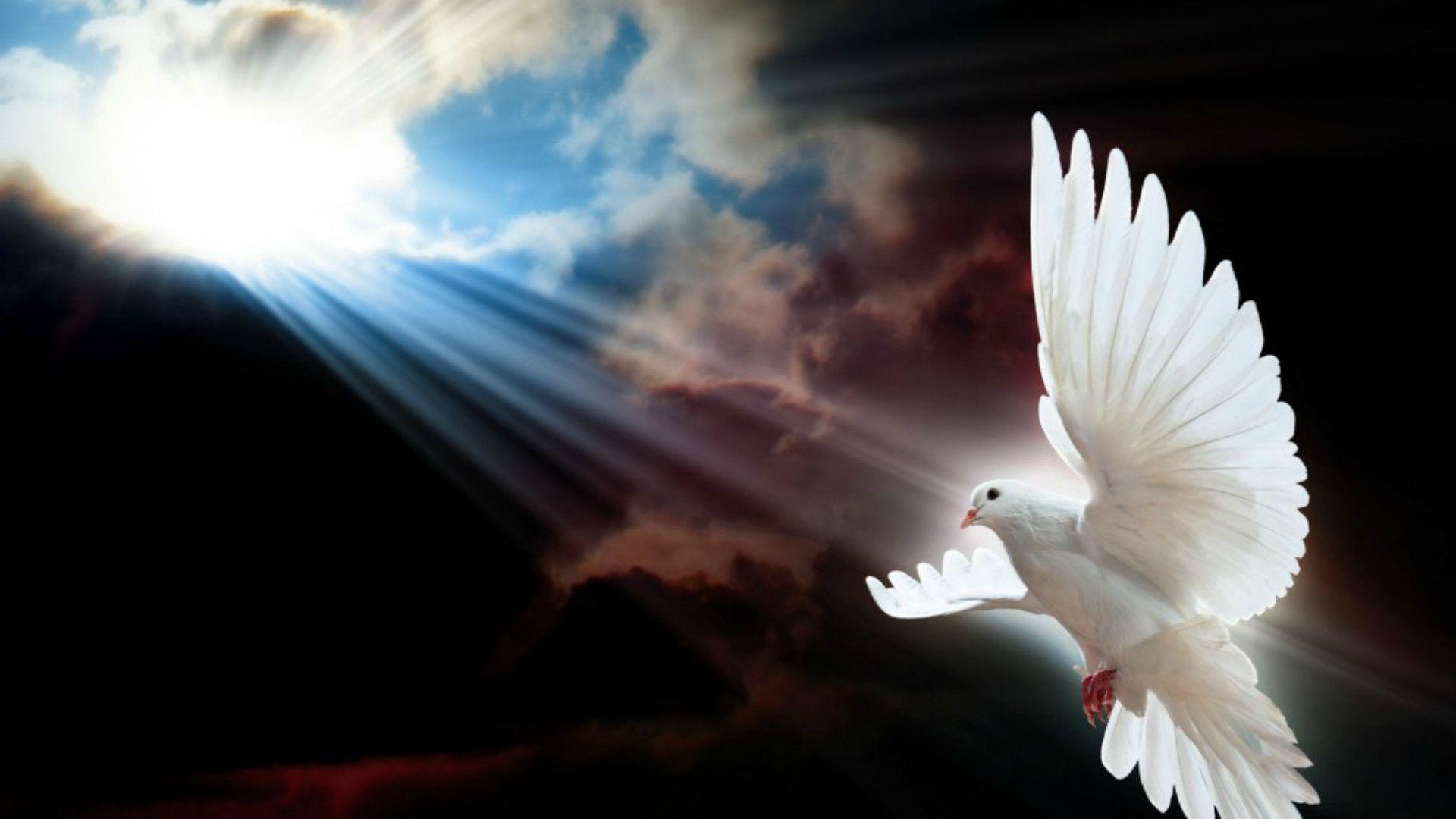 Holy spirit wallpapers