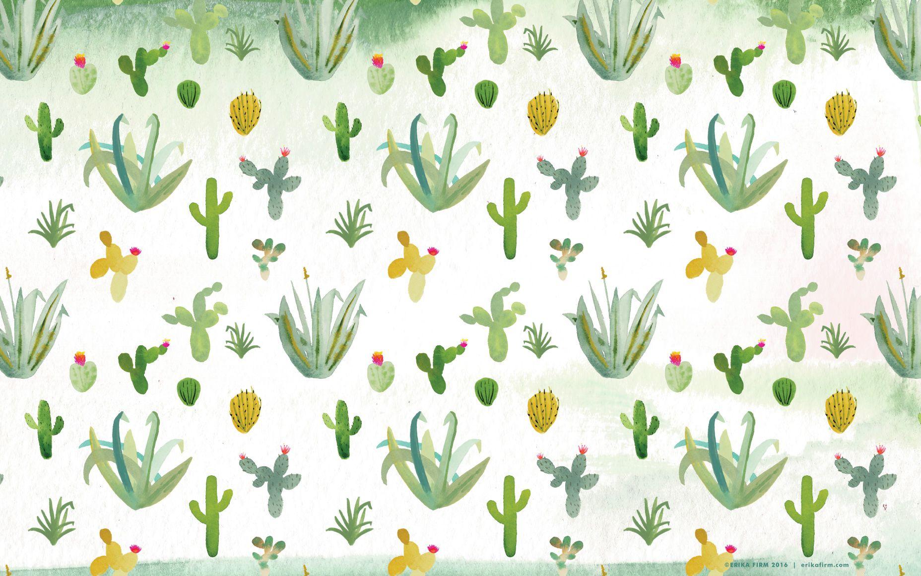 Download for free 65+ cactus desktop wallpapers. Cactus Desktop Wallpapers Top Free Cactus Desktop Backgrounds Wallpaperaccess