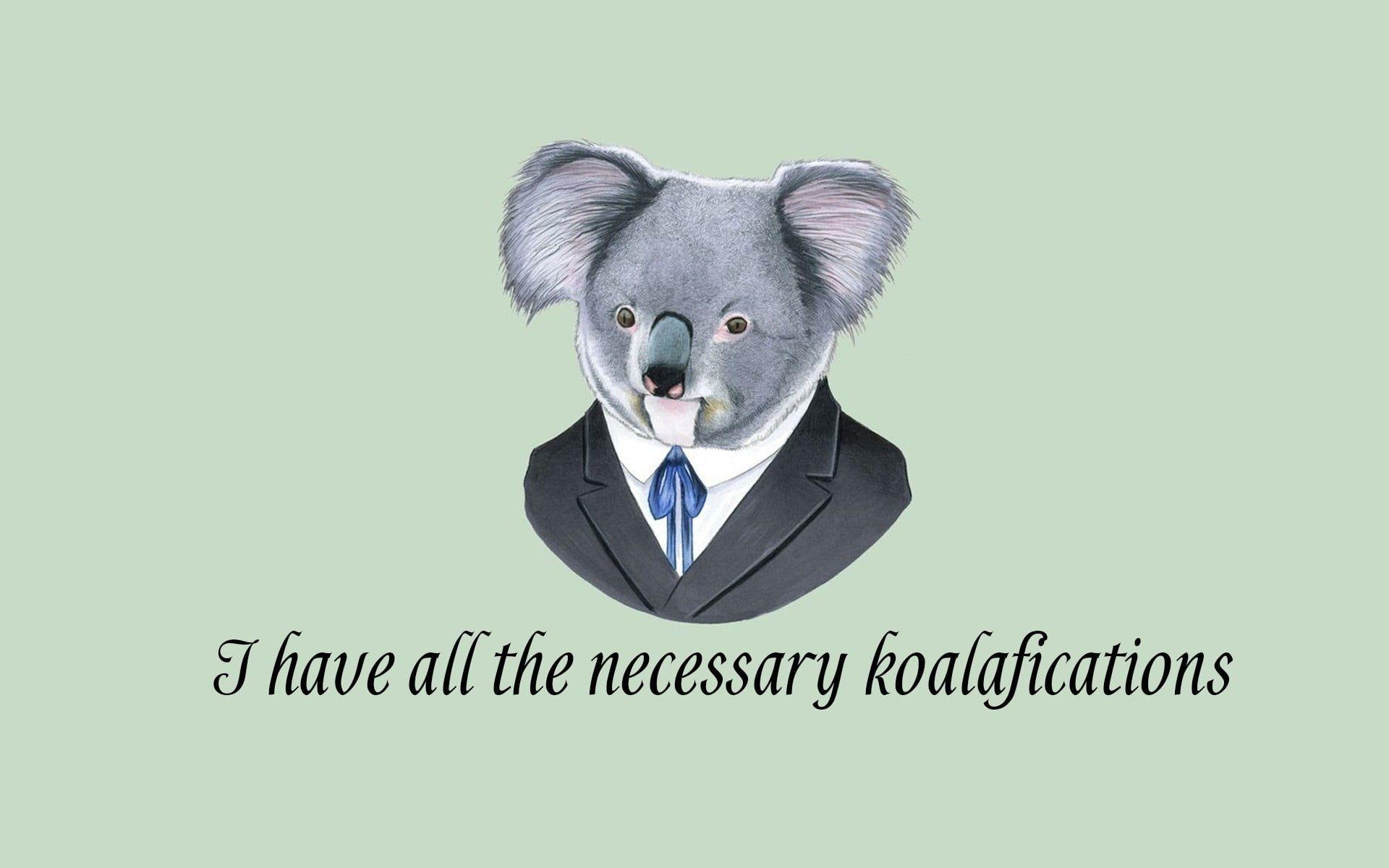 koala cartoon wallpapers top free koala cartoon on cartoon koalas wallpapers