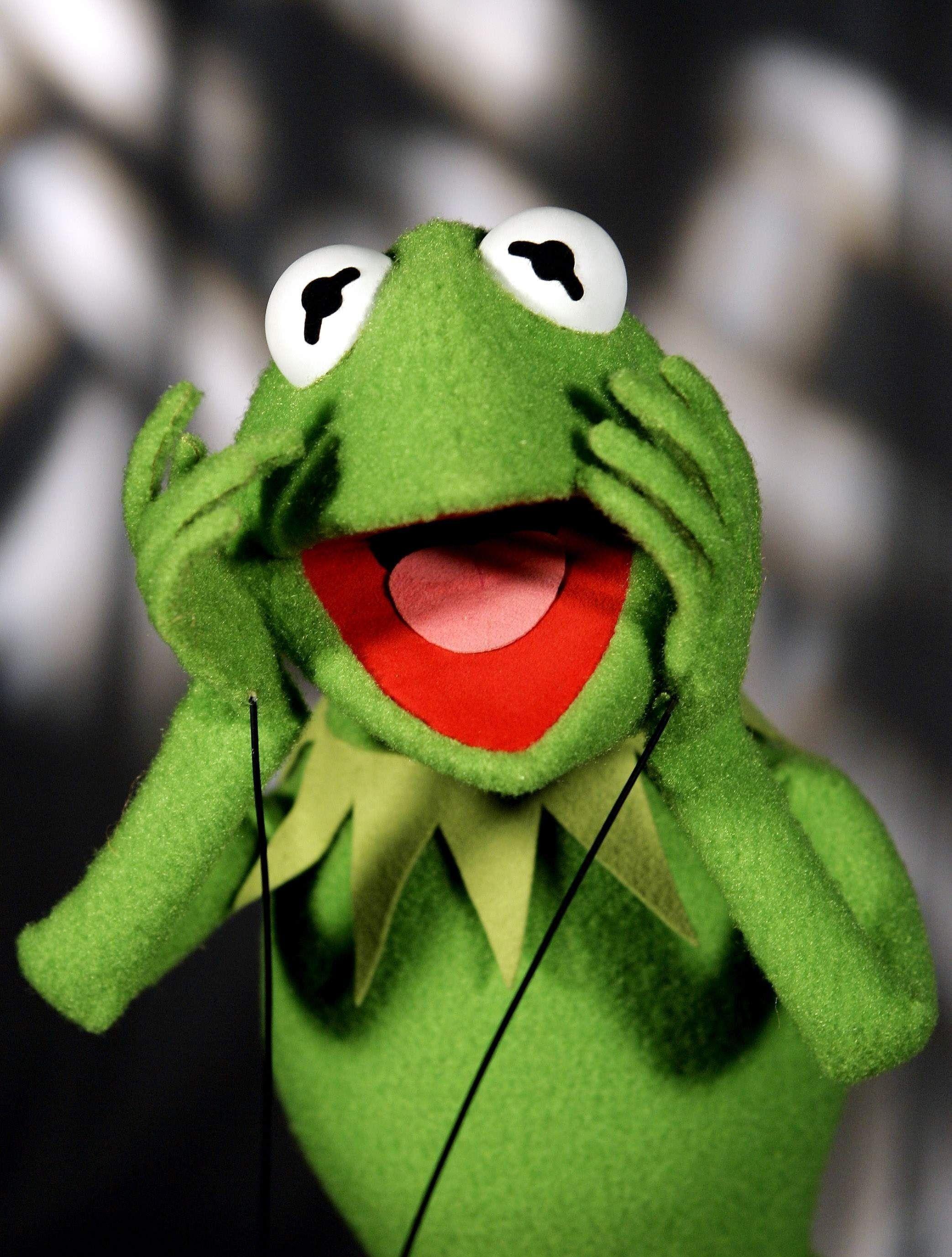 cute kermit wallpapers top free cute kermit backgrounds on cute kermit wallpapers