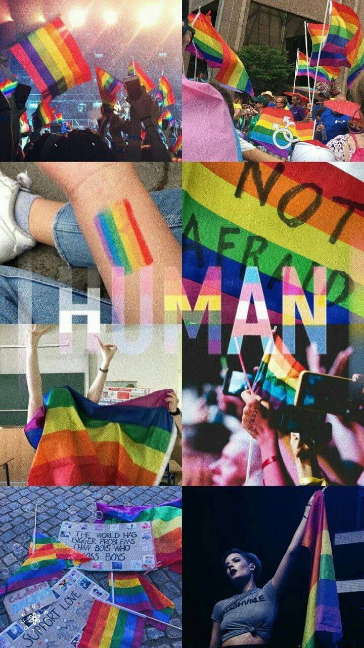 aesthetic lgbt rainbow wallpapers top free aesthetic on lgbtq aesthetic wallpapers