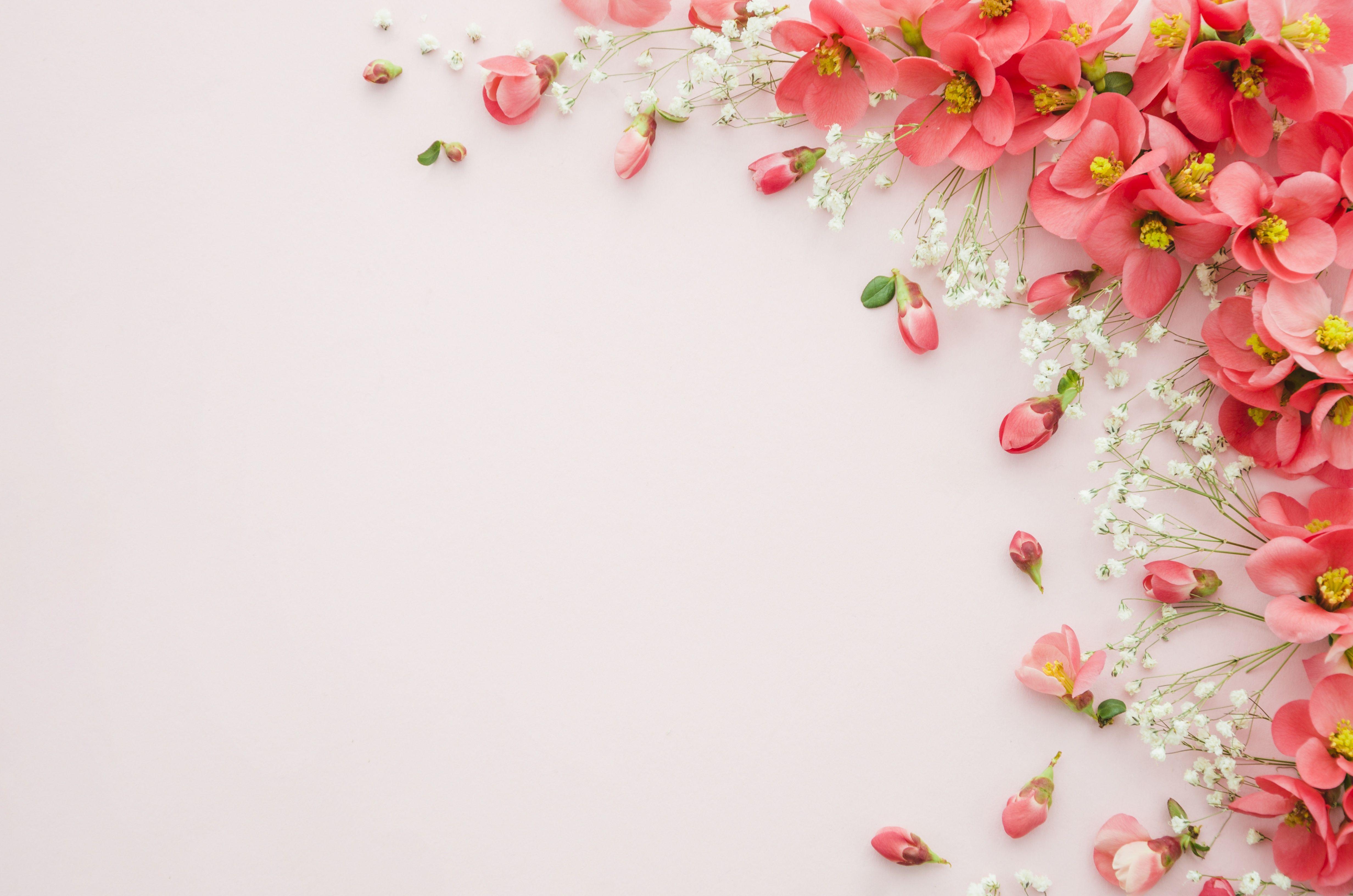 Find the best and most beautiful flower wallpapers and images! Floral Ultra Hd Wallpapers Top Free Floral Ultra Hd Backgrounds Wallpaperaccess