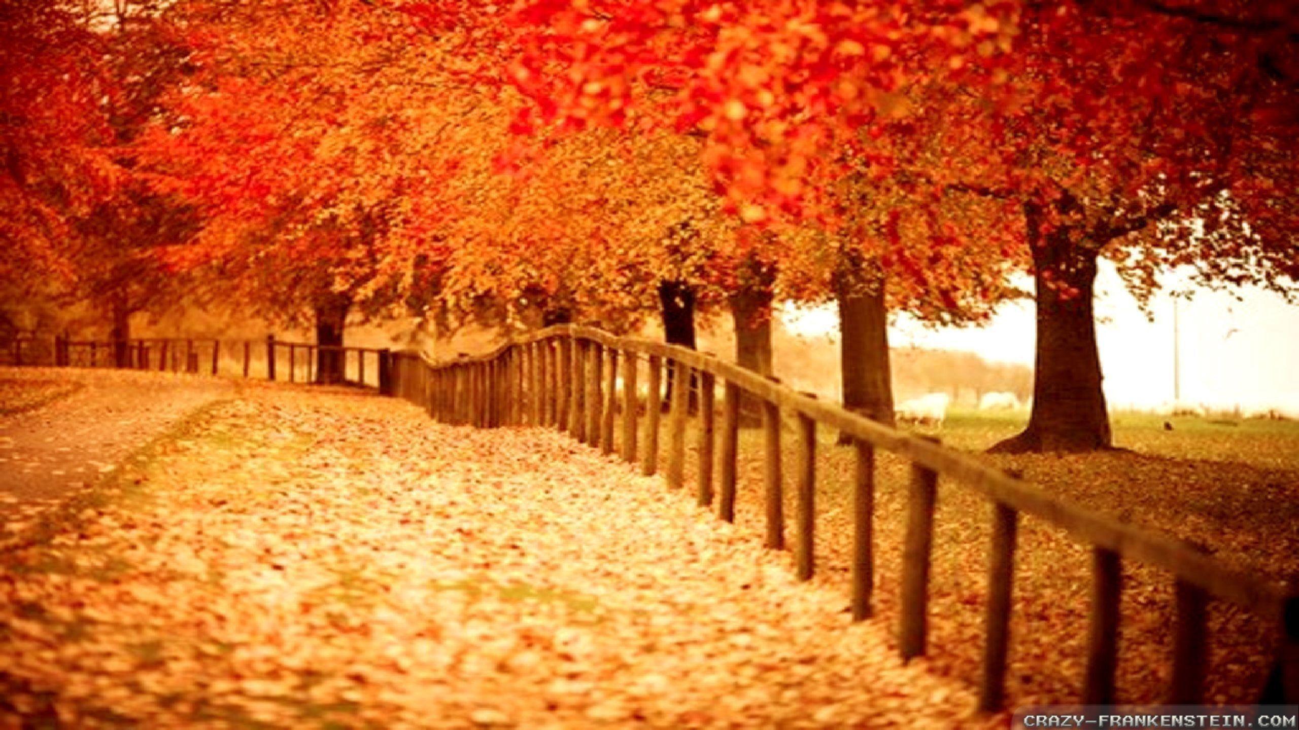 rustic autumn scenery wallpapers top free rustic autumn on autumn rustic wallpapers