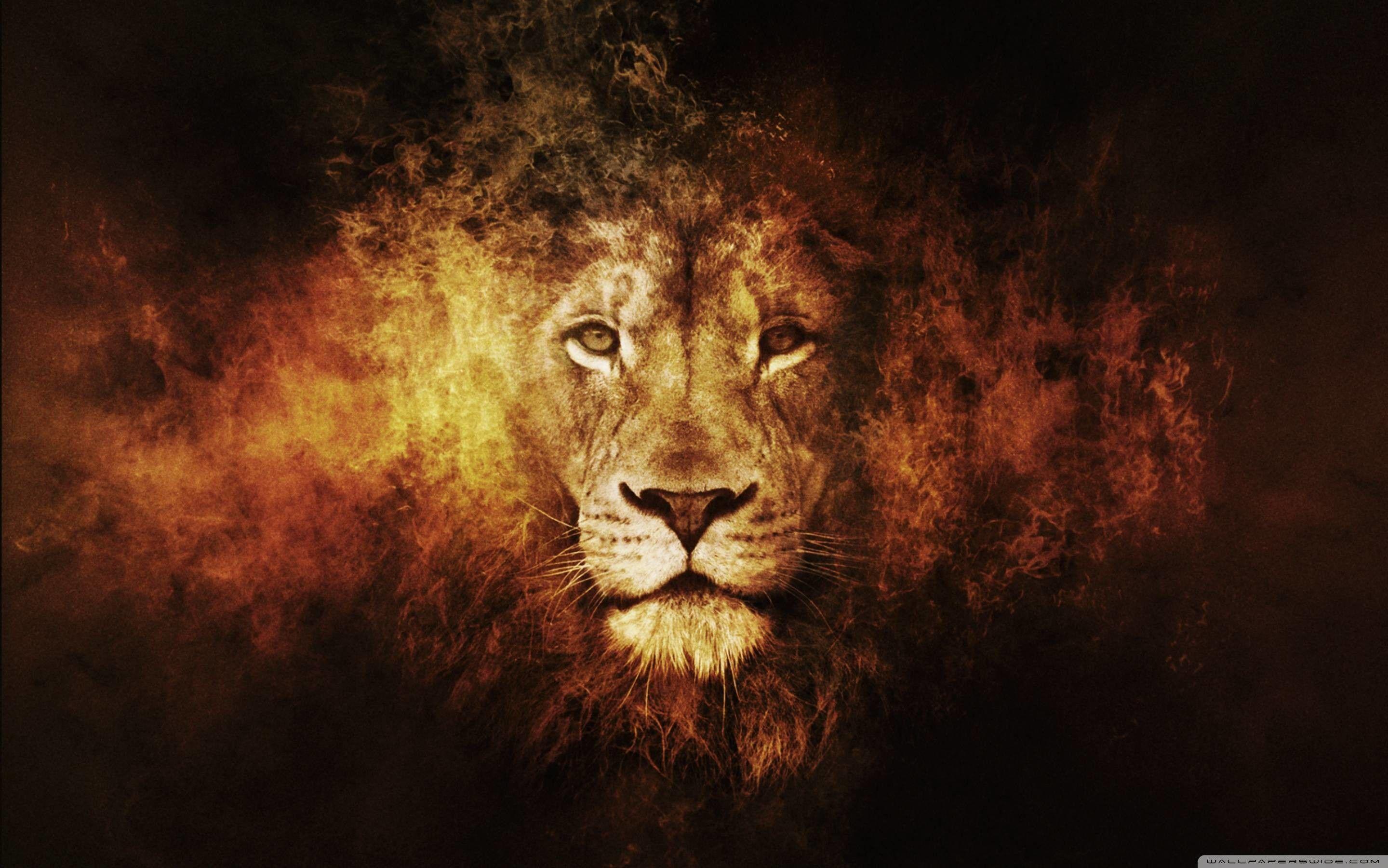 Fierce lion wallpapers