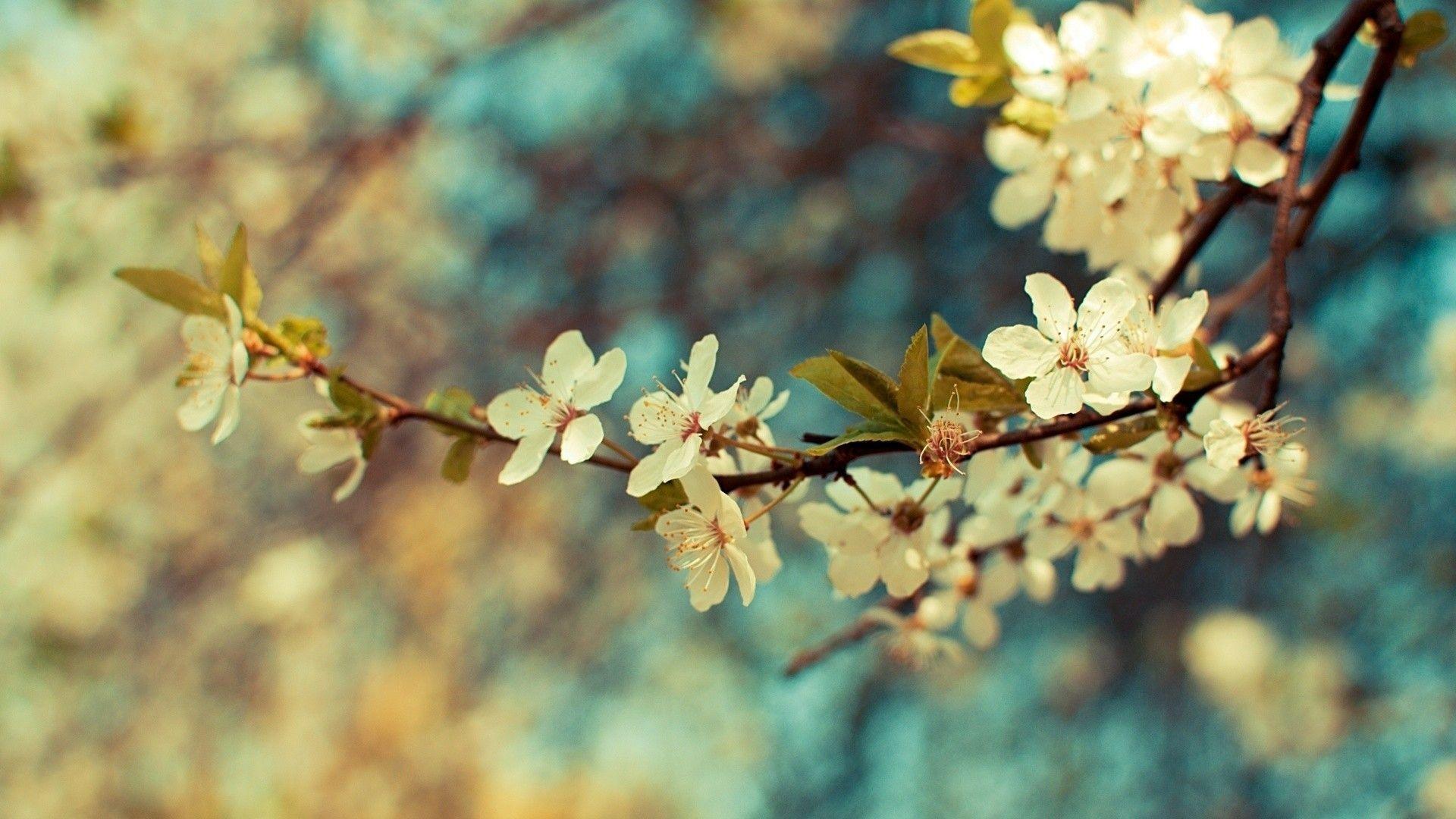 Vintage spring wallpapers