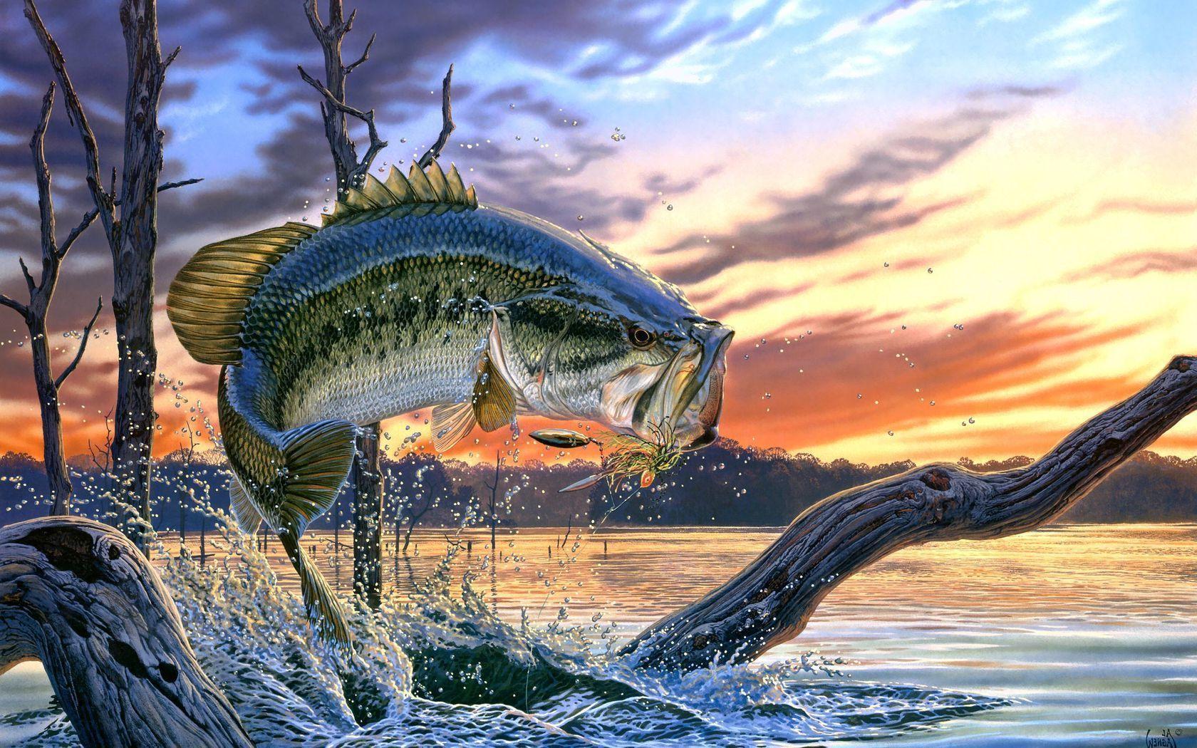 Here’s how to do it without lugging your desktop into your living room. Fishing Laptop Wallpapers Top Free Fishing Laptop Backgrounds Wallpaperaccess
