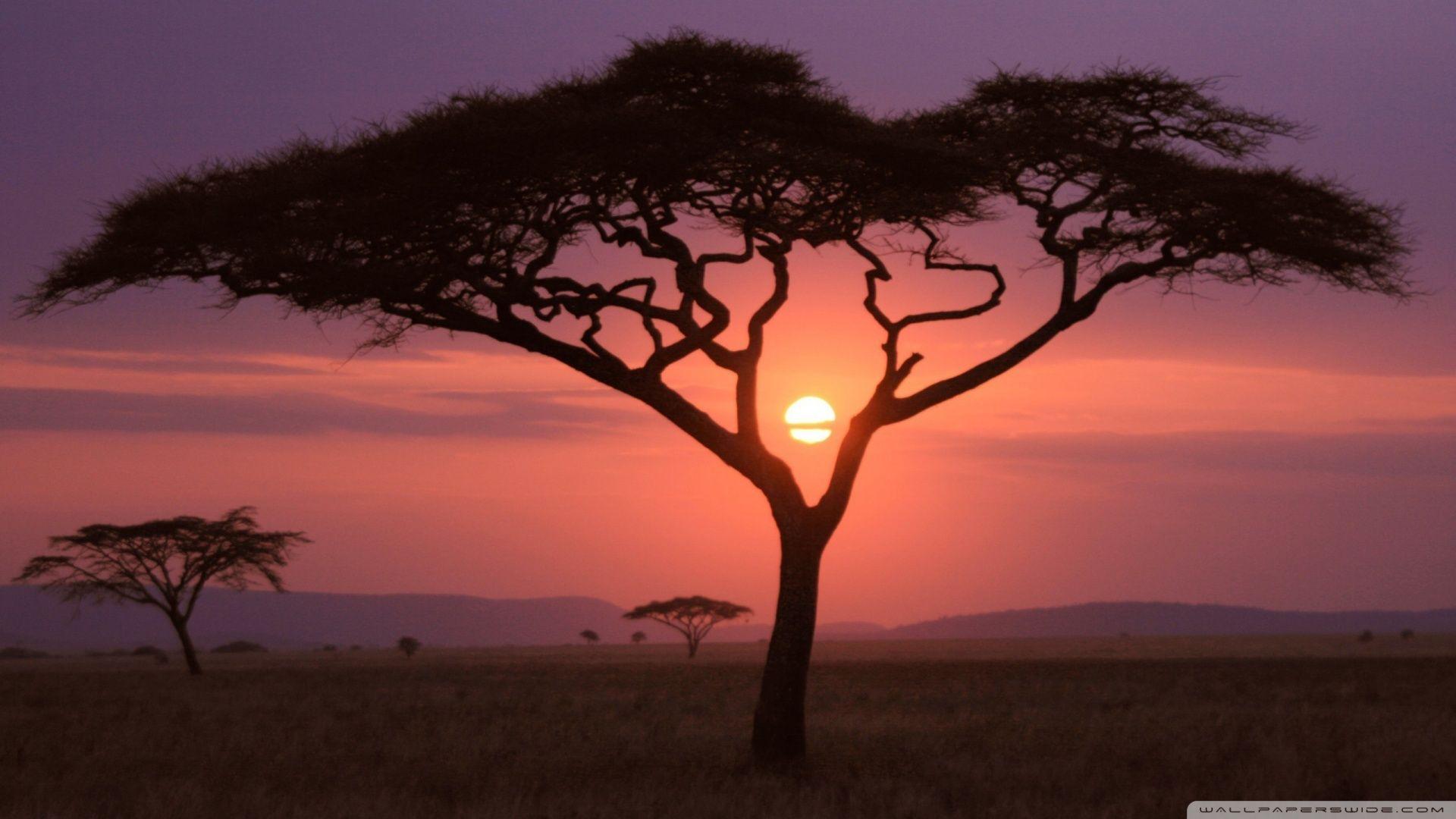 African sunset wallpapers