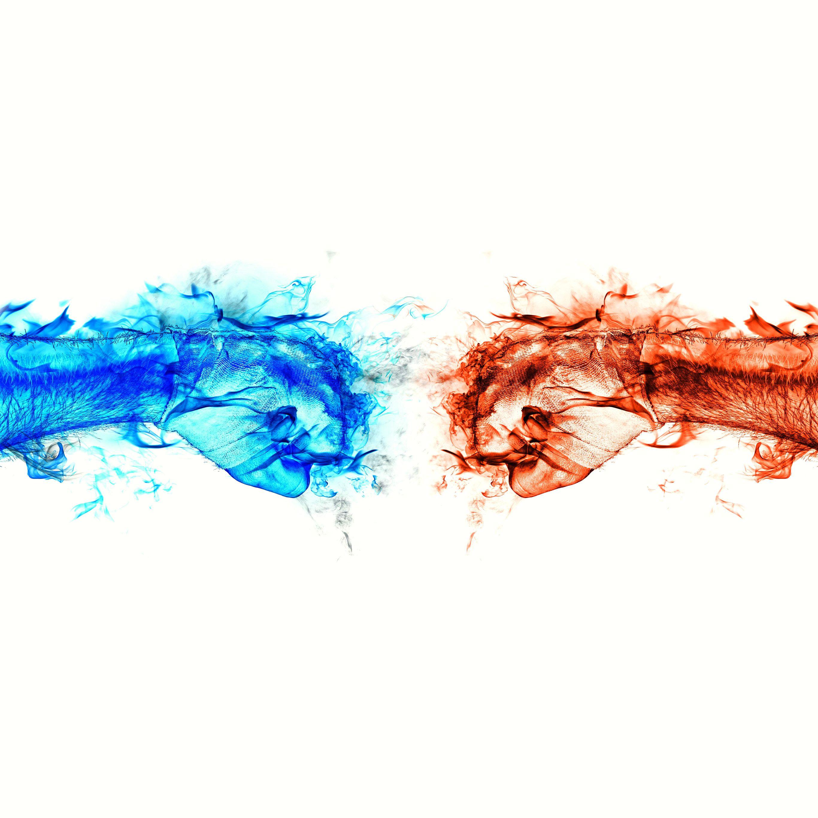 Pink blue fire wallpapers and background images for all your devices. Fire White Wallpapers Top Free Fire White Backgrounds Wallpaperaccess