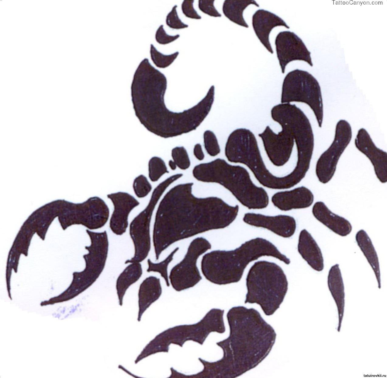 Tribal Scorpion Wallpapers Top Free Tribal Scorpion Backgrounds Wallpaperaccess