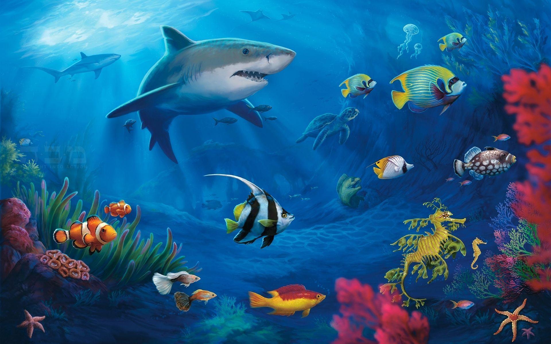 Sea World Wallpaper / Ocean Underwater World Dolphin Coral Exotic Tropical Fish Wallpaper Wallpapers For Cell Phone And Laptop Wallpaper For You Hd Wallpaper For Desktop Mobile -