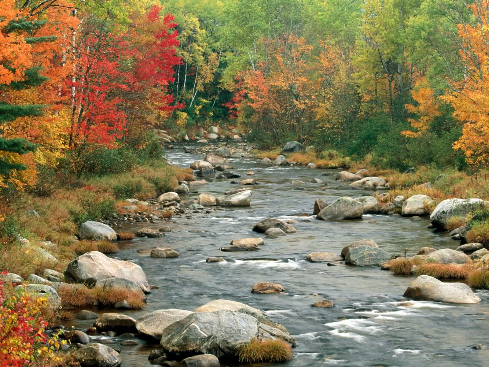 Tons of awesome beautiful river wallpapers to download for free. Beautiful River Wallpapers Top Free Beautiful River Backgrounds Wallpaperaccess