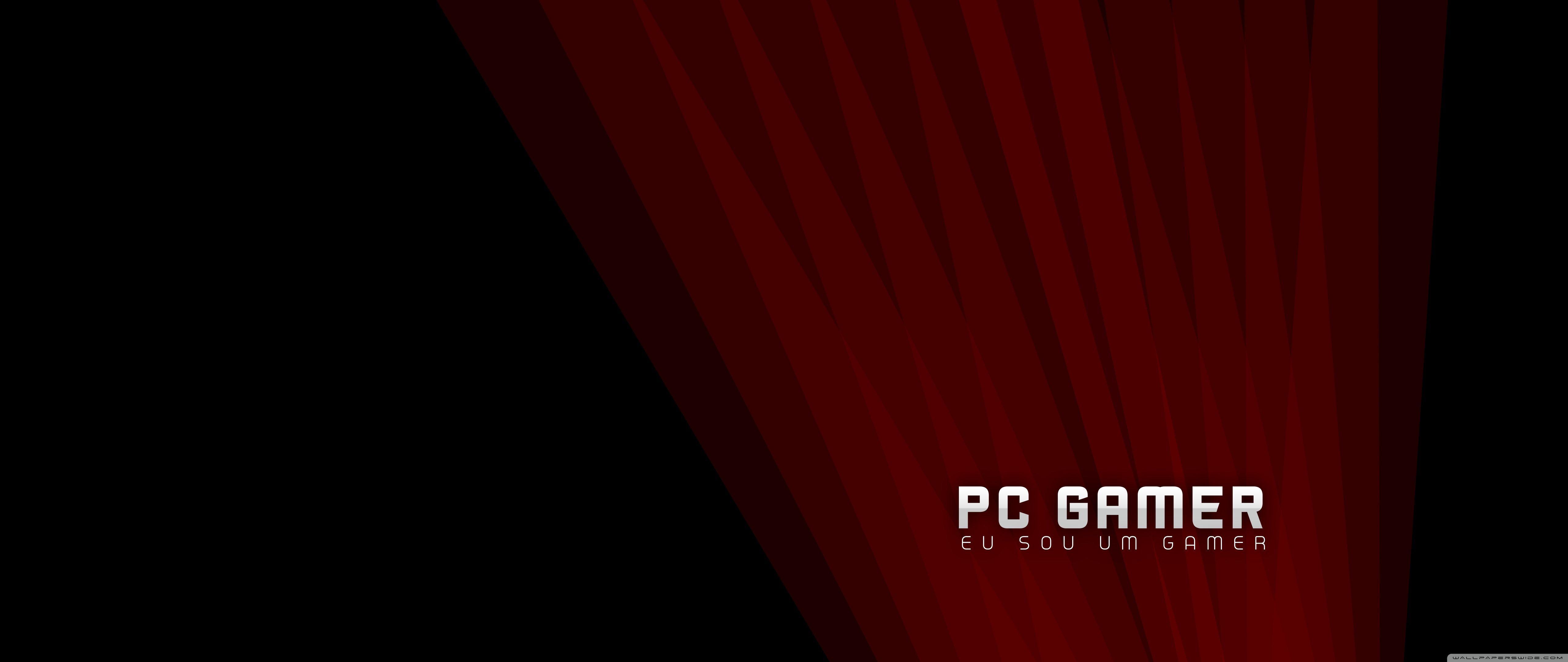 Pc Gamer Wallpapers Top Free Pc Gamer Backgrounds Wallpaperaccess