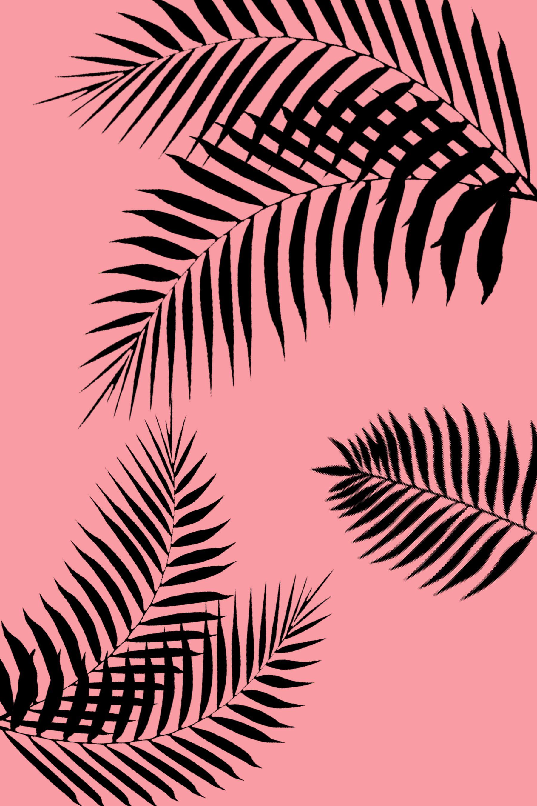 Check out our pink leaf wallpaper selection for the very best in unique or custom, handmade pieces from our wall décor shops. Pink Leaf Wallpapers Top Free Pink Leaf Backgrounds Wallpaperaccess
