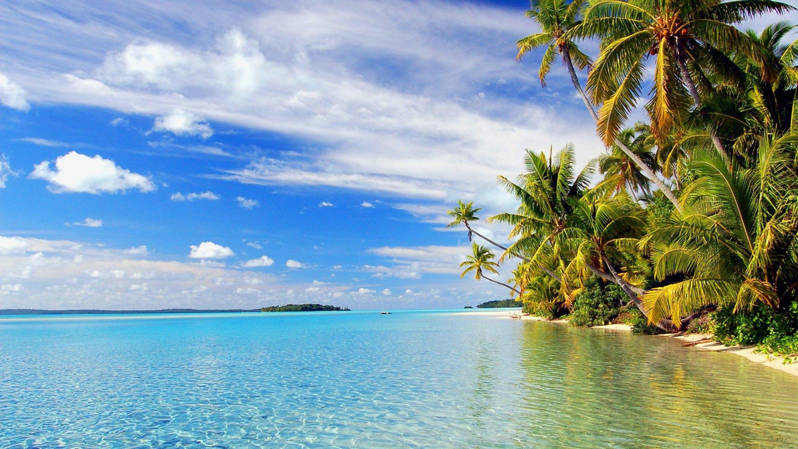 Beautiful cool hd beach wallpaper background images collection for desktop, laptop, android phone, apple iphone, tablet and other devices. Tropical Beach Landscape Wallpapers Top Free Tropical Beach Landscape Backgrounds Wallpaperaccess