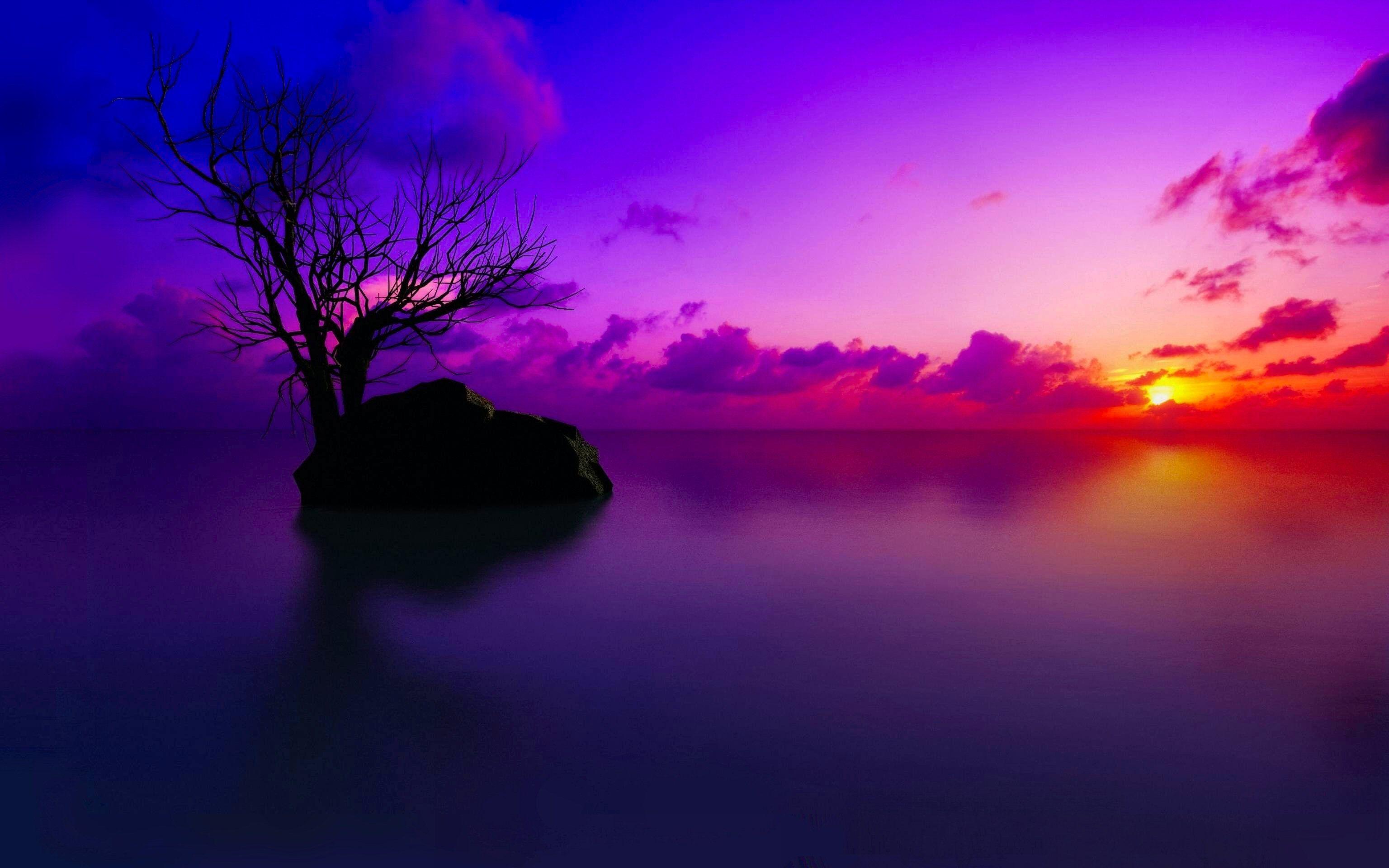 Check out our pink and purple sky selection for the very best in unique or custom,. Purple Sky Wallpapers Top Free Purple Sky Backgrounds Wallpaperaccess