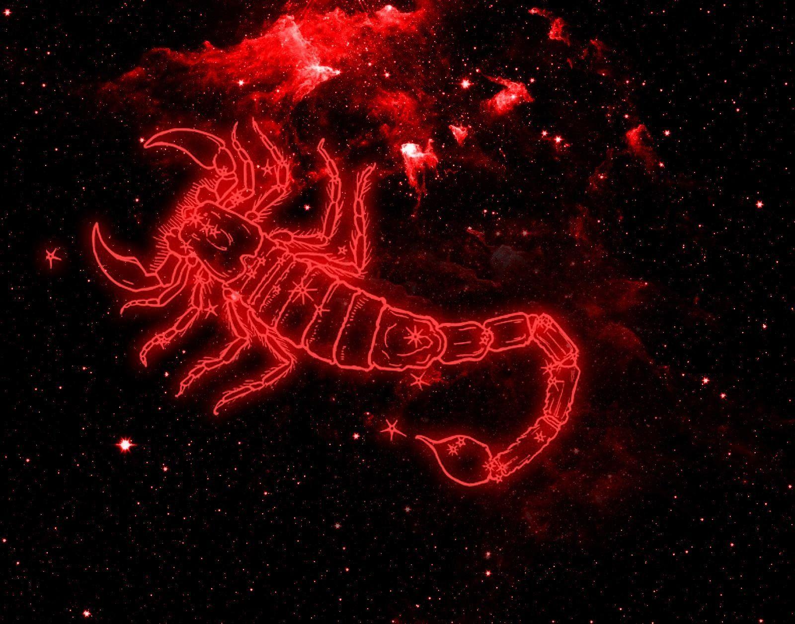 scorpio aesthetic wallpapers top free scorpio aesthetic on scorpio aesthetic wallpapers