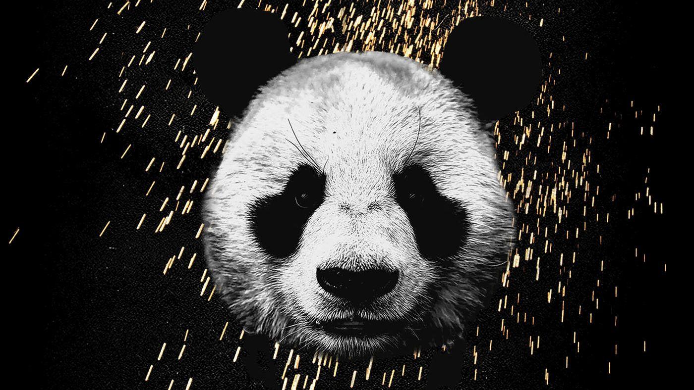 Tons of awesome rappers wallpapers panda to download for free. Desiigner Panda Wallpapers Top Free Desiigner Panda Backgrounds Wallpaperaccess