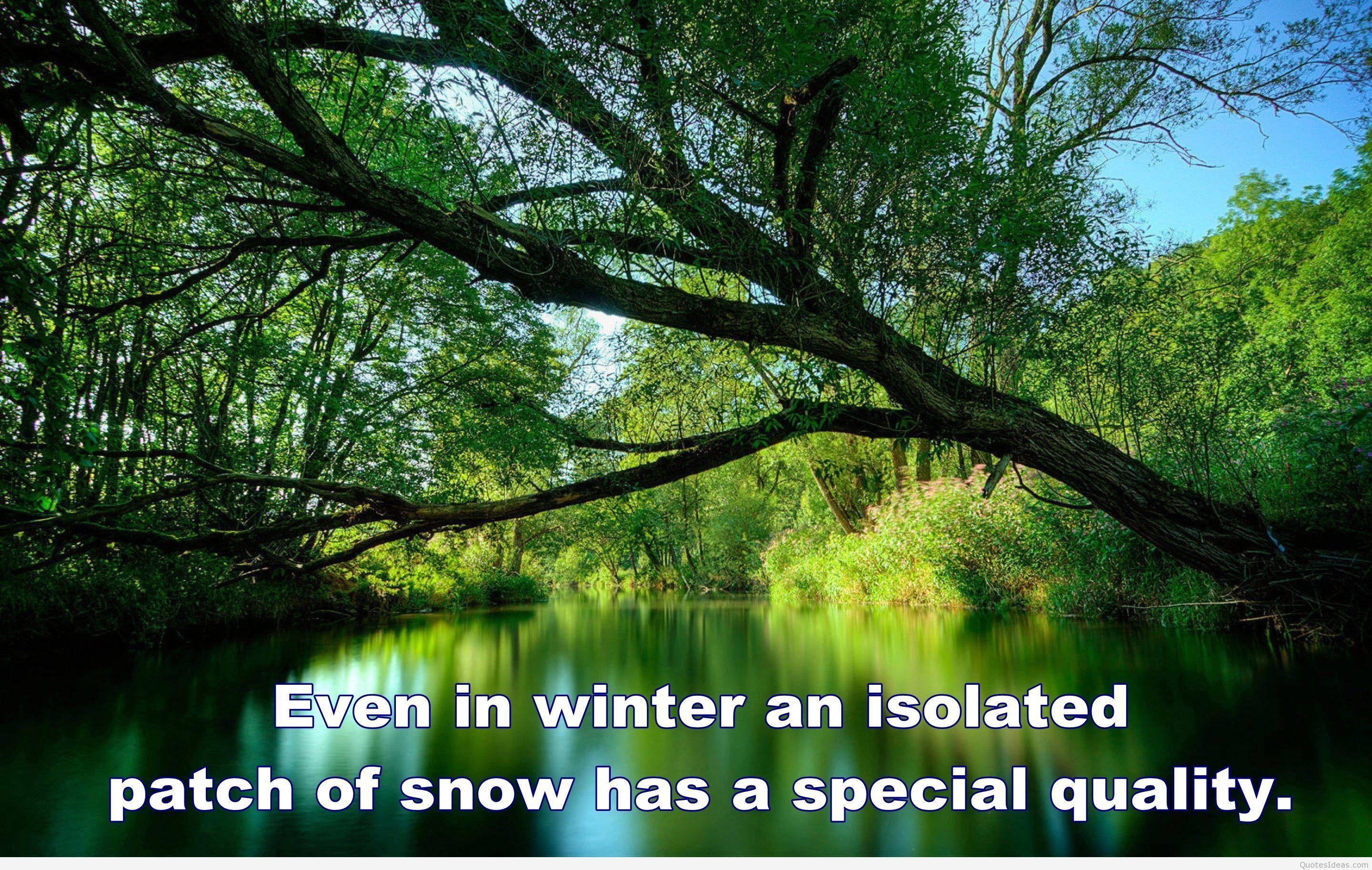 Some are even old enough to remember listening to the fireside chats of presid. Nature Quotes Wallpapers Top Free Nature Quotes Backgrounds Wallpaperaccess